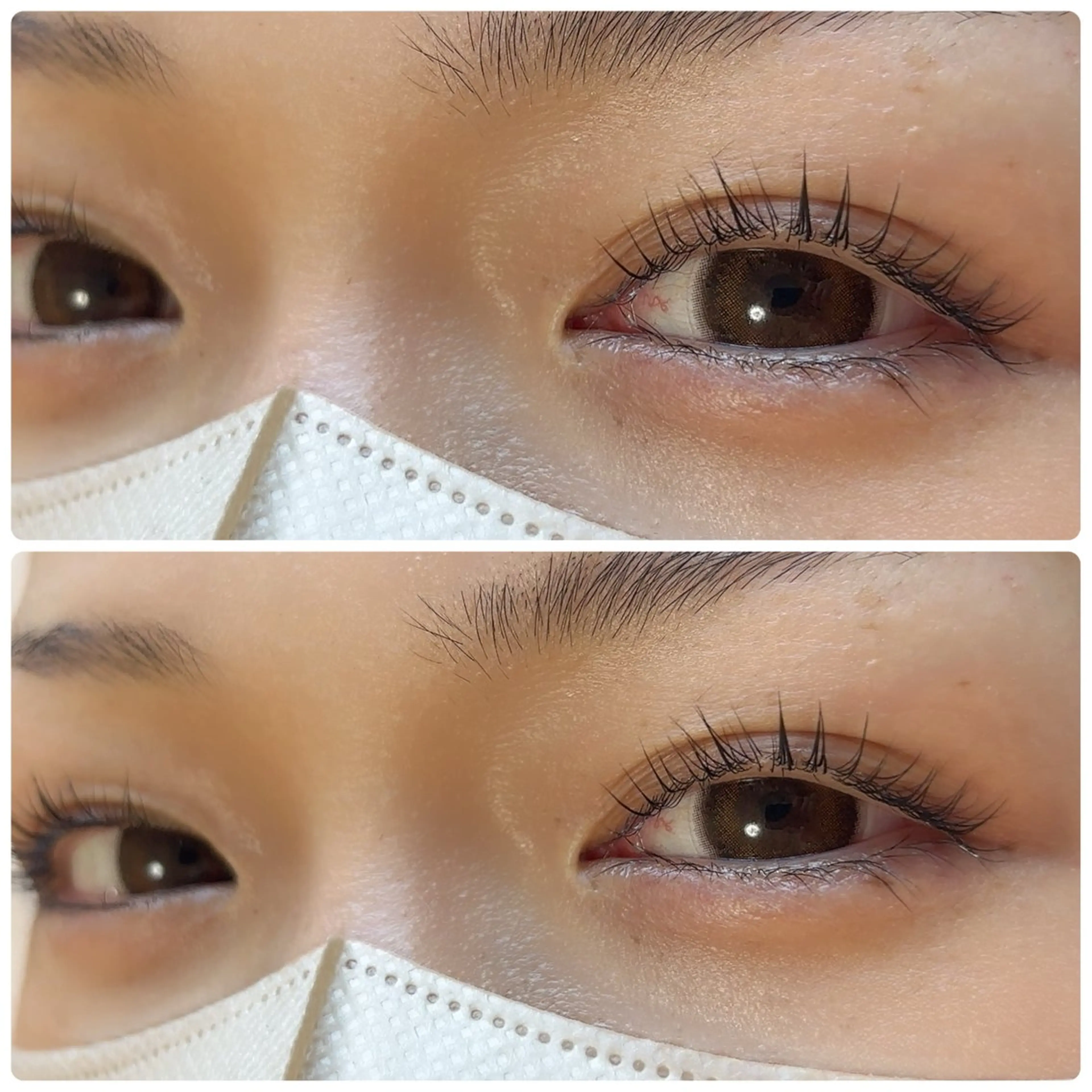 🎄クリスマス12/25まで限定価格 まつげパーマ🎄の写真