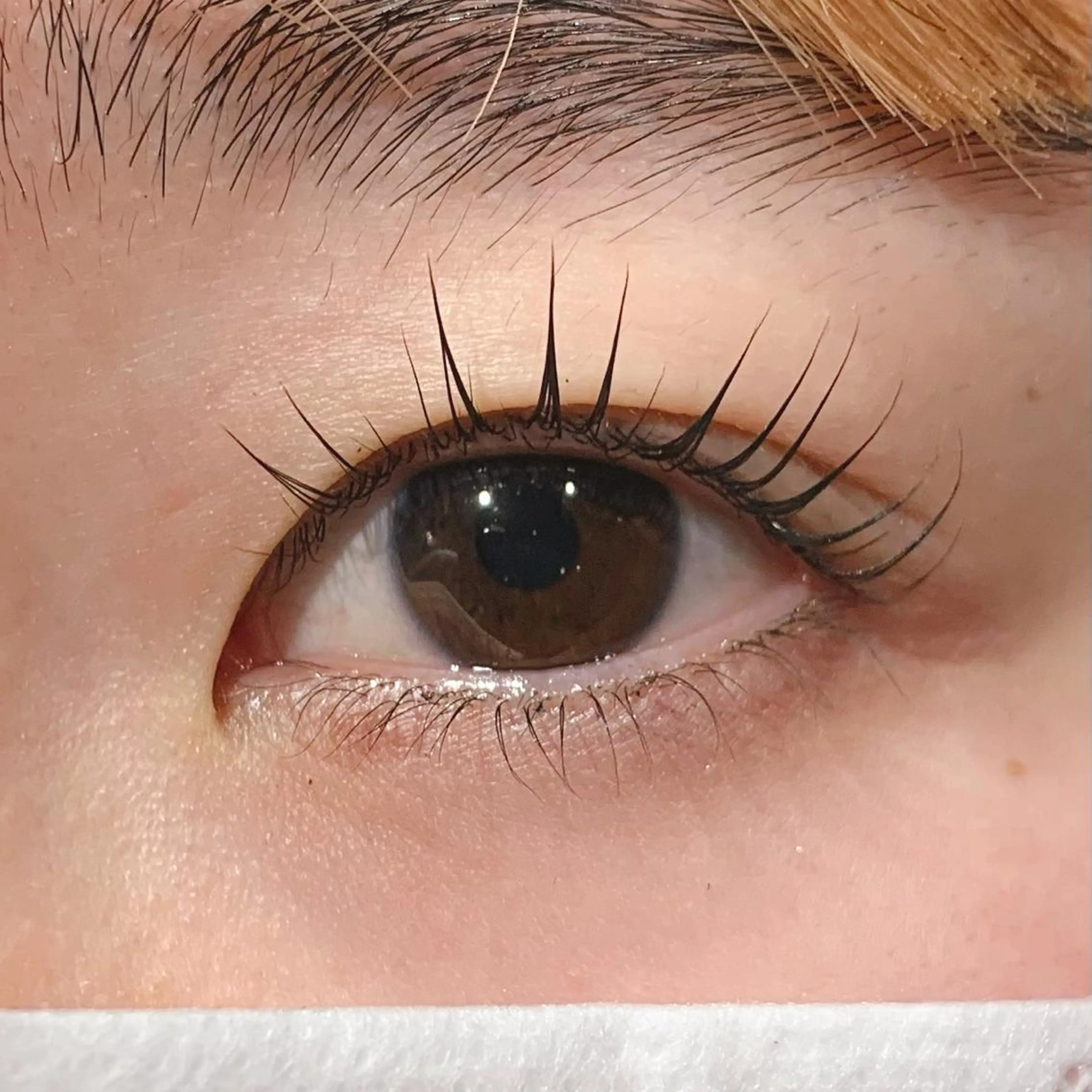 マツエク・マツパ パリジェンヌラッシュリフト alushe🌼 HIME🌼のマツエク・マツパデザイン