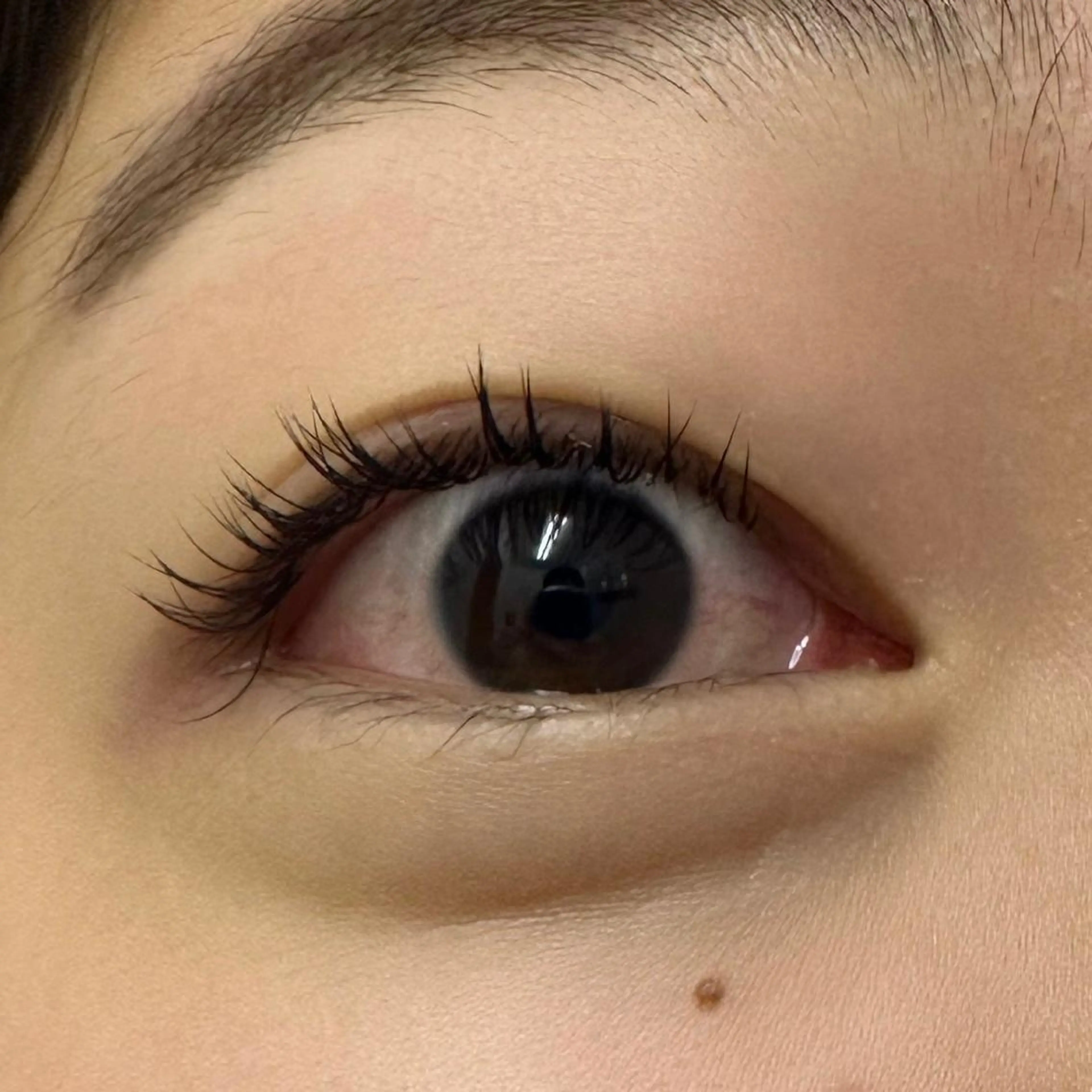 マツエク・マツパ Cカール Miyu🦄ash メンズカット/まつげのヘアスタイル