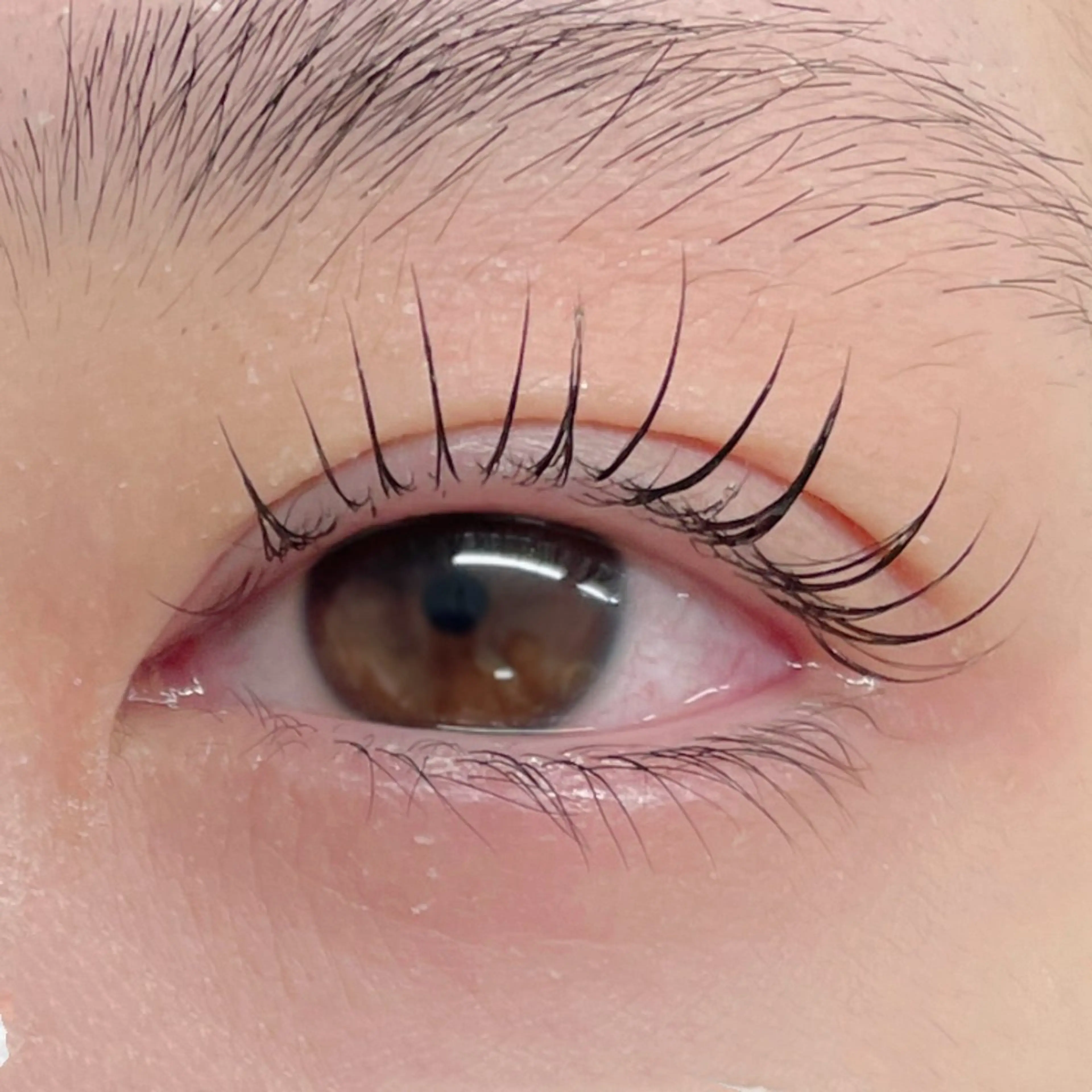 マツエク・マツパ マツパ GO TODAY シェアサロン 銀座Eclara店所属・mihiro 銀座まつぱﾏﾂｴｸ眉のマツエク・マツパデザイン