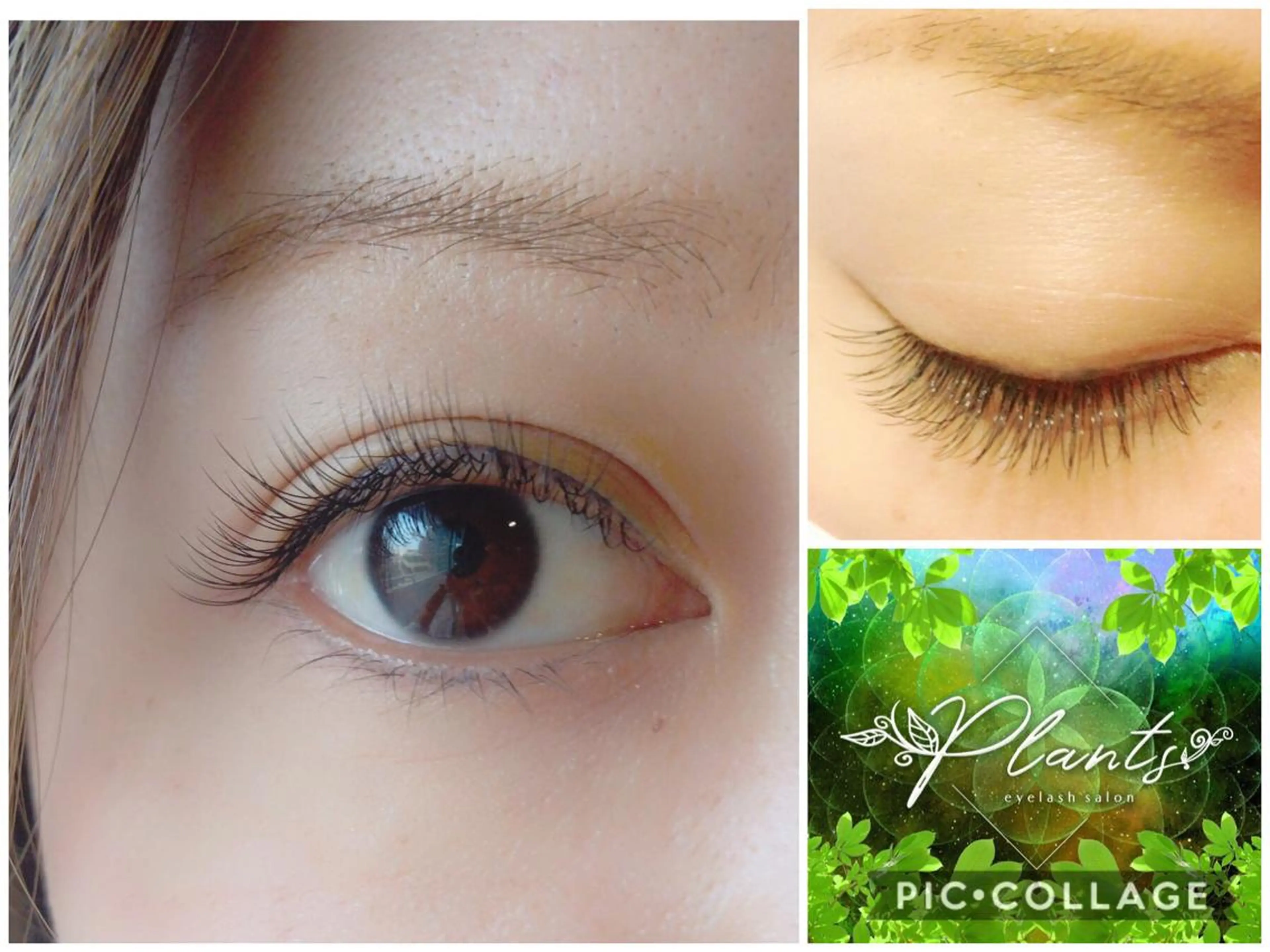 マツエク・マツパ Plants　斧田 ひろみのマツエク・マツパデザイン