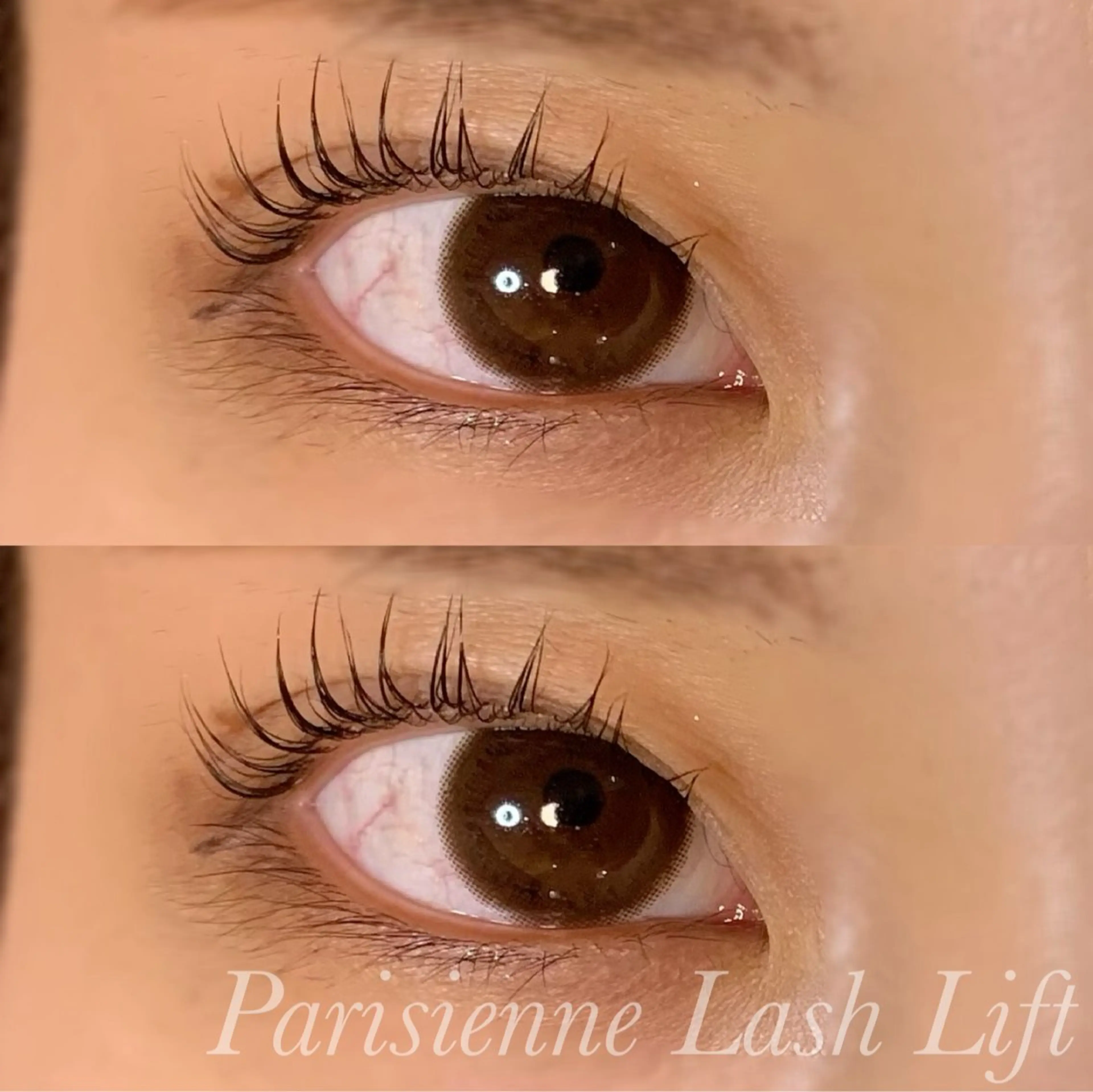 マツエク・マツパ パリジェンヌラッシュリフト マツパ Ayumi.pro 🍆N《4階》のマツエク・マツパデザイン