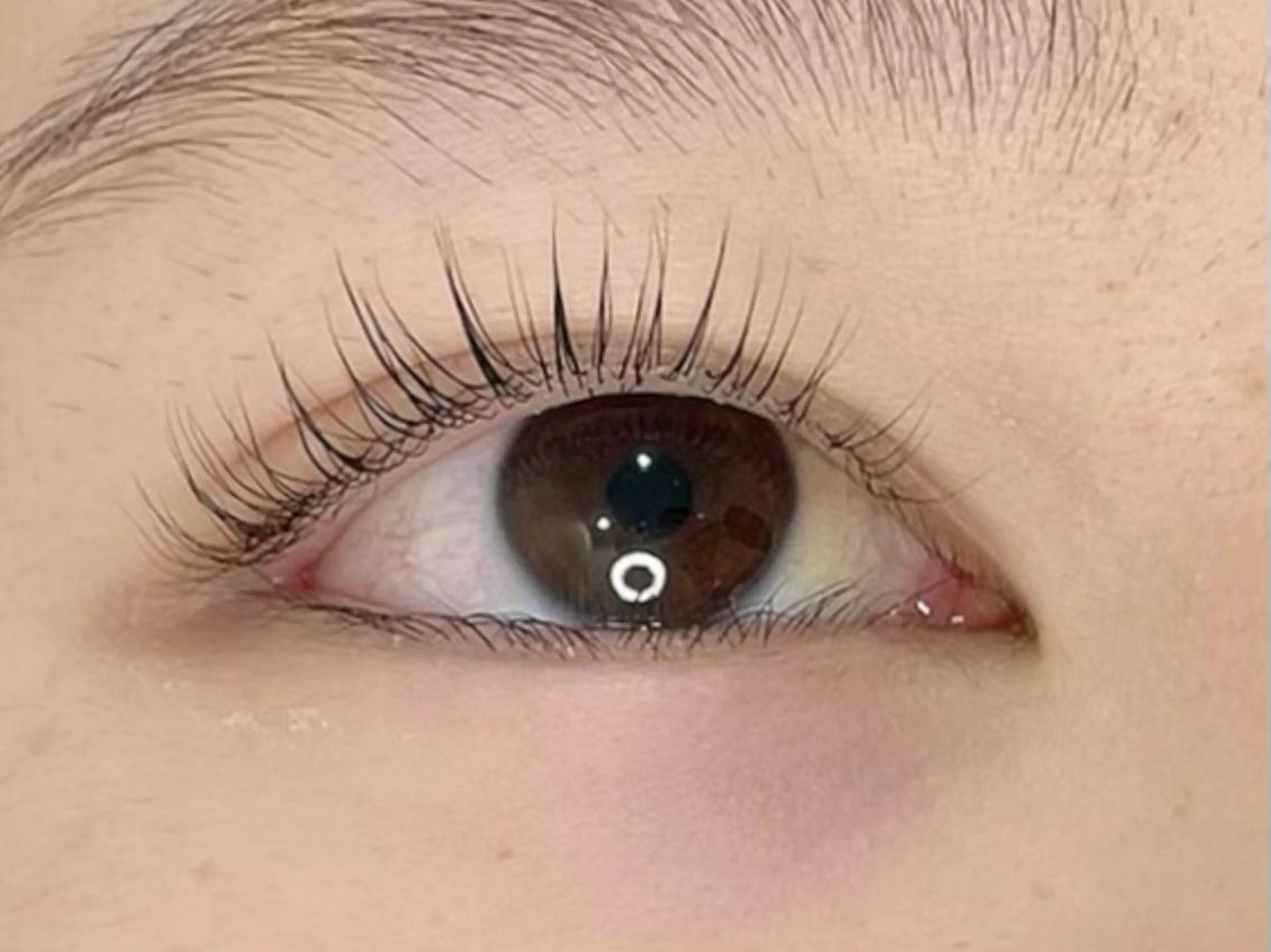 マツエク・マツパ パリジェンヌラッシュリフト 矢澤 まなみの眉毛・アイブロウイメージ