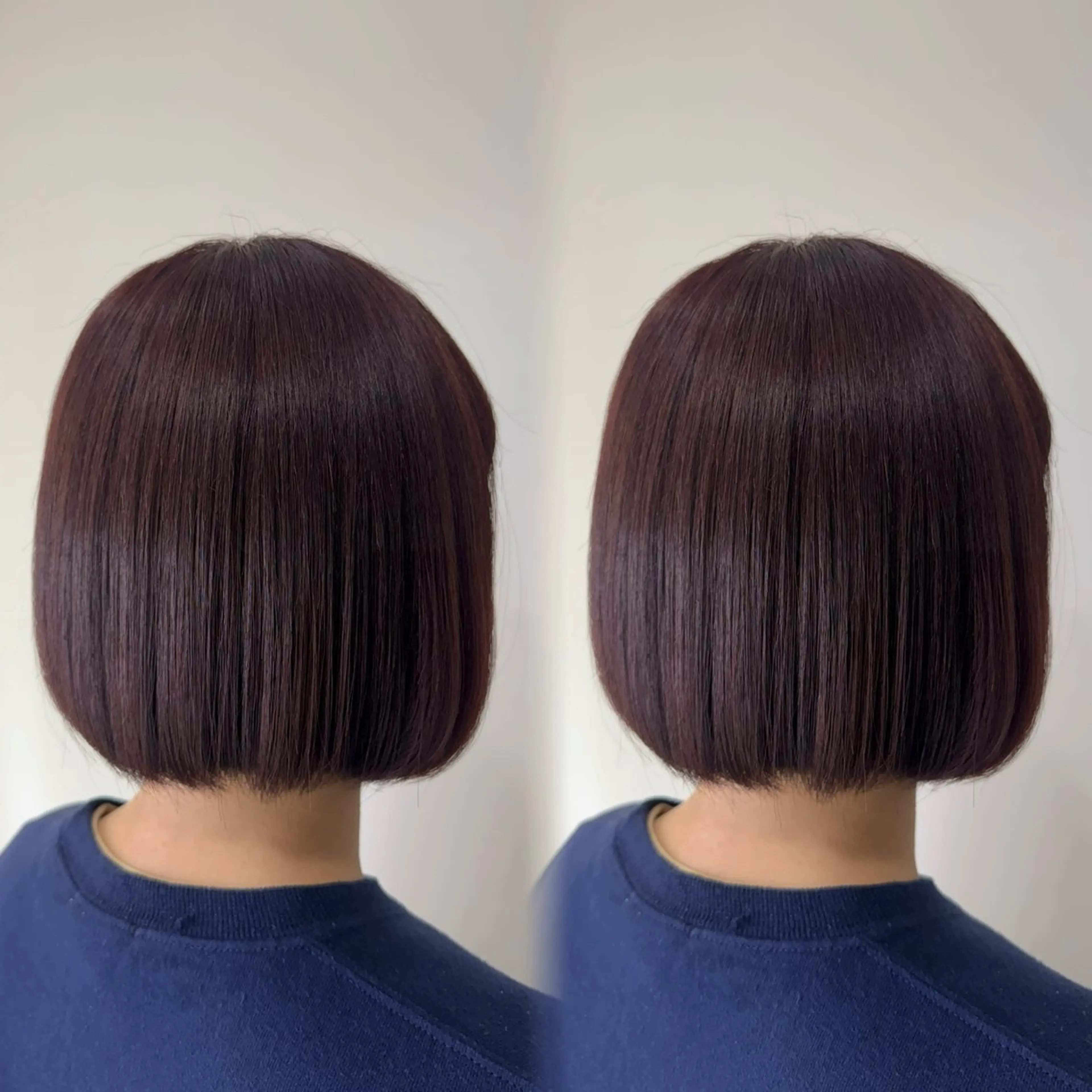 ショート カラー カット ヘアカラー Ash/ tomona𝜗𝜚のヘアスタイル