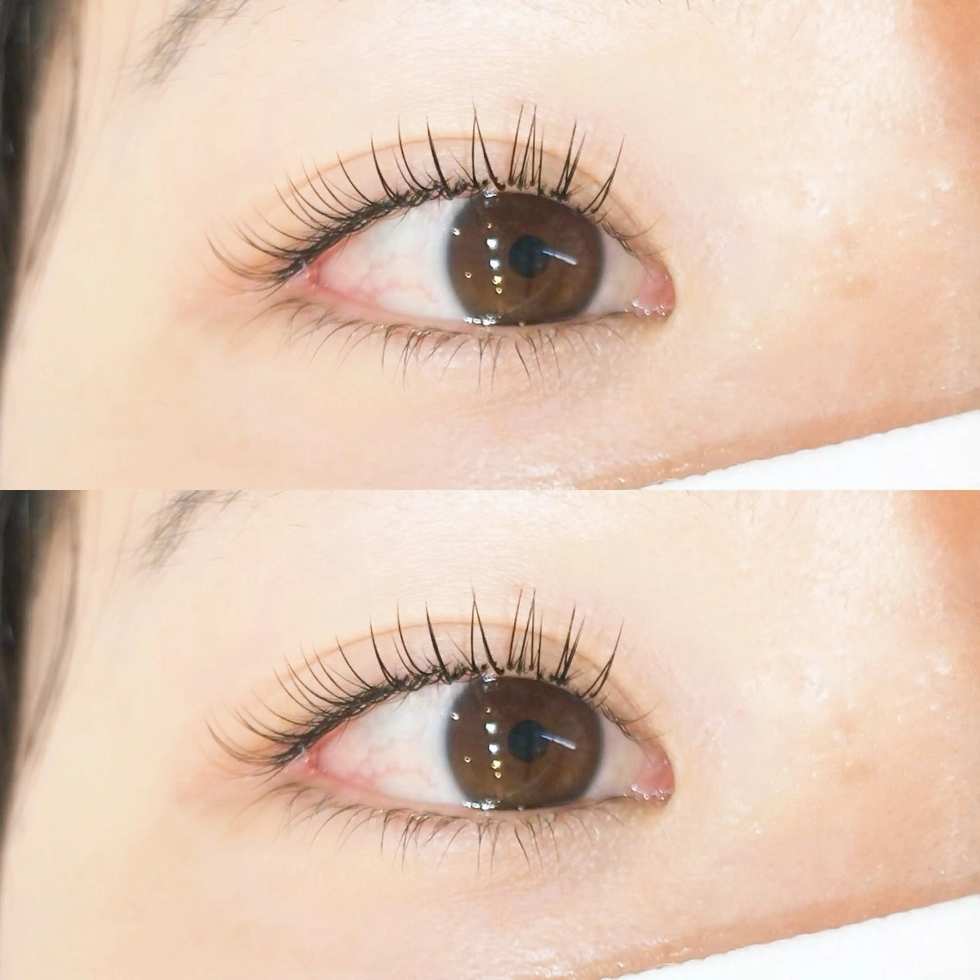 【お付けたし】🌱LEDフラットラッシュ80本🌱の写真