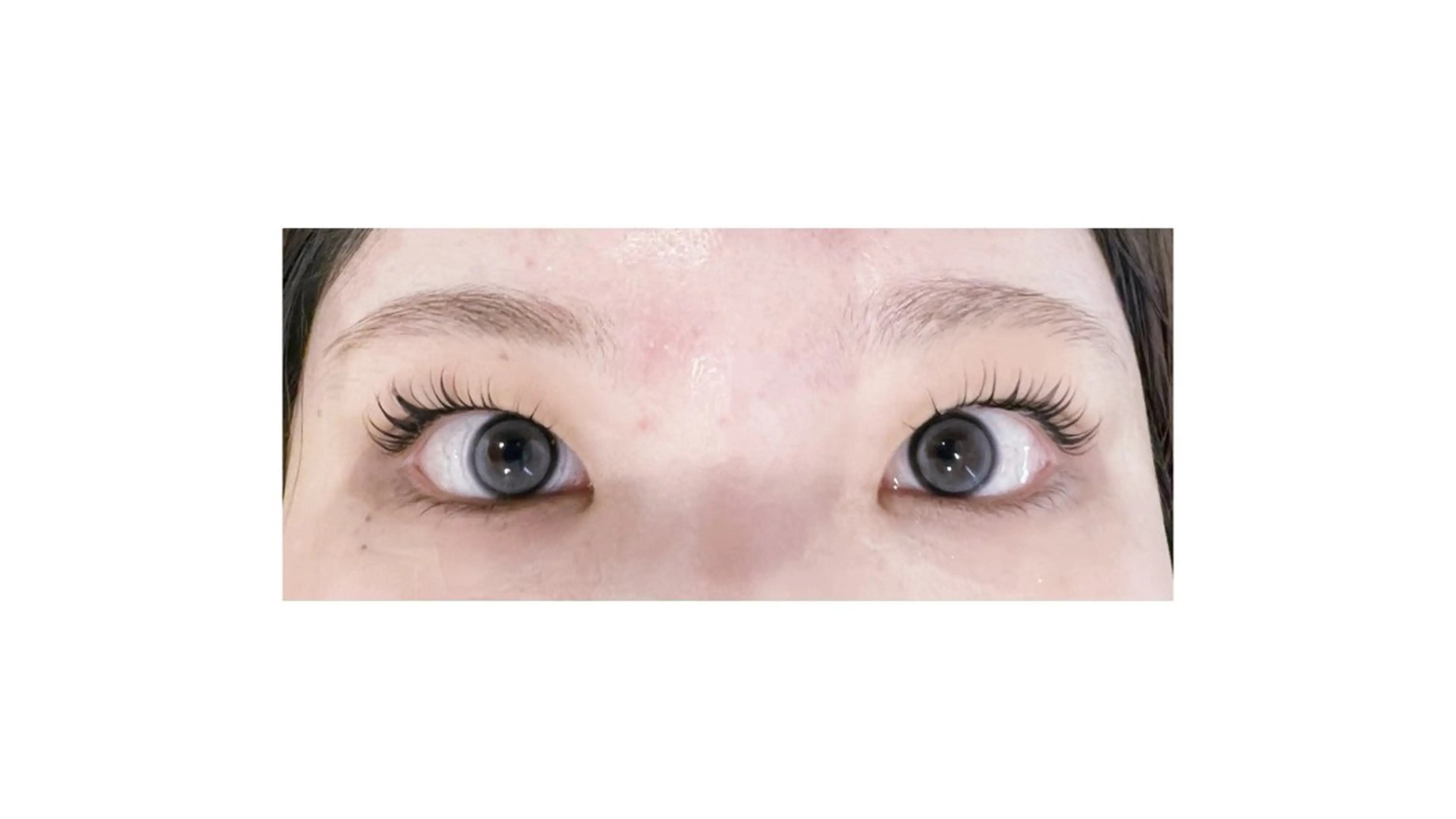 🌷🫧オフなし／無料まつ毛パーマモデル🪞🎀の写真