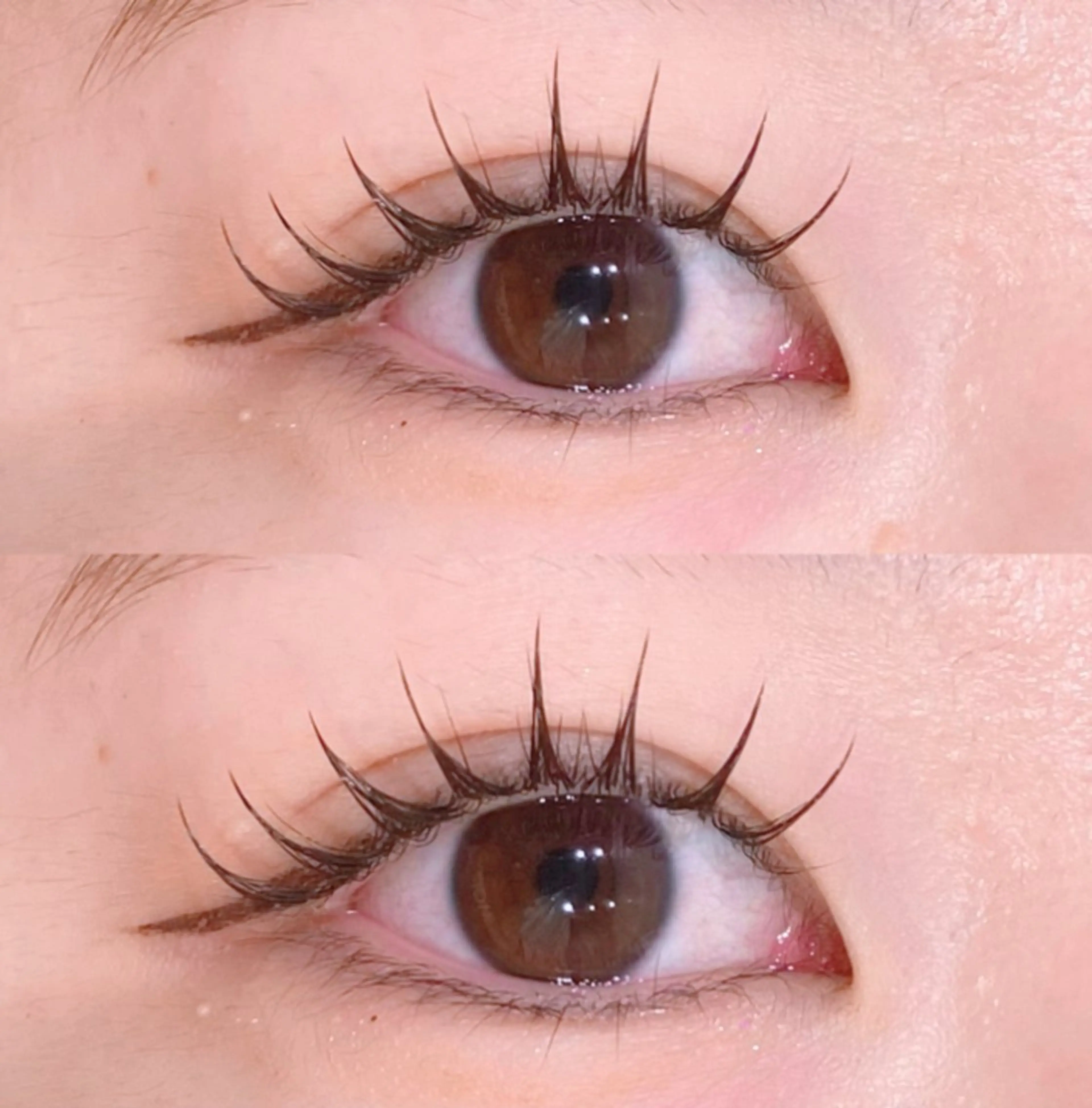 LEDマツエク/フラットラッシュ80​〜​120本¥7,780（オフ有＋¥550）の写真