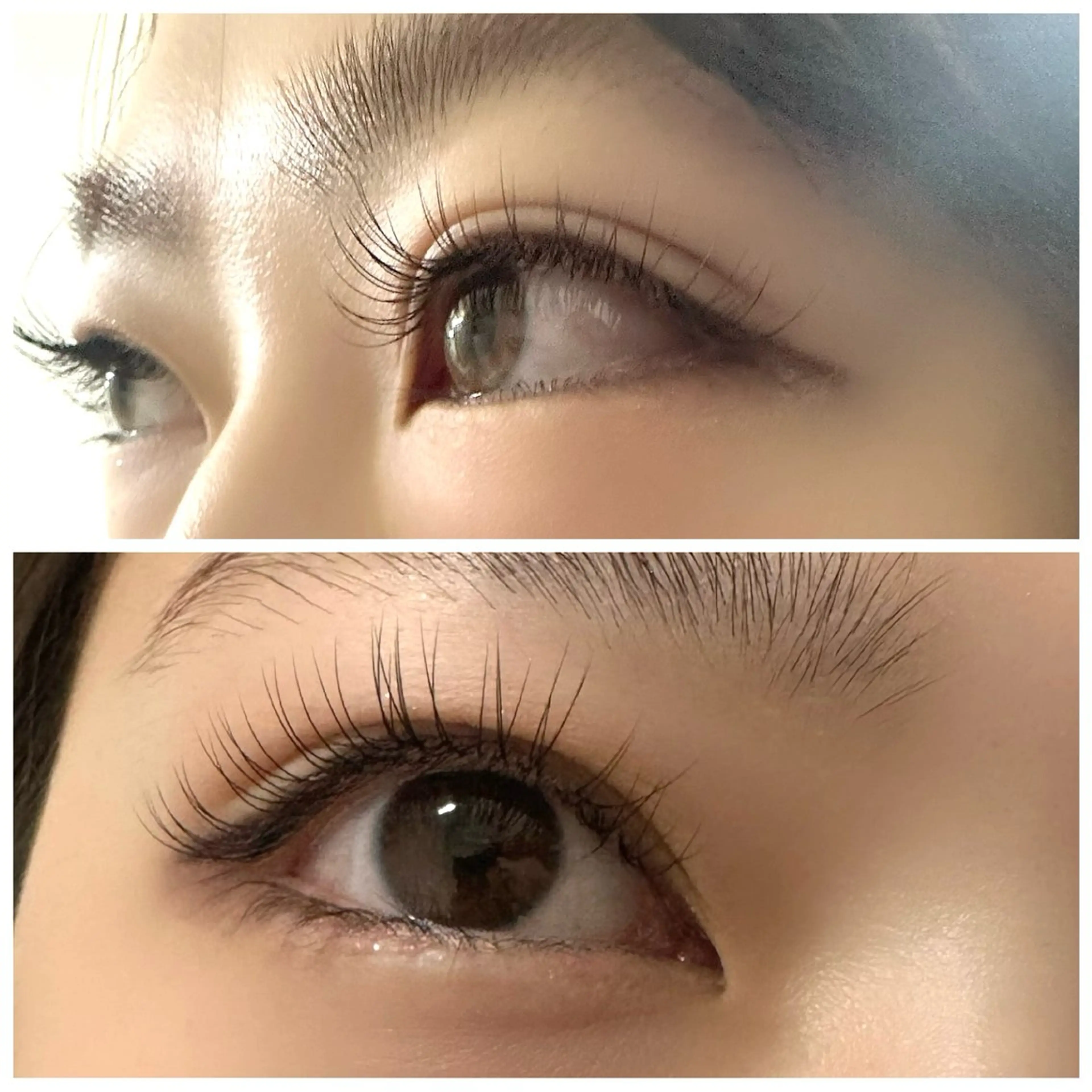 【LED】✴︎フラットラッシュ上80本の写真