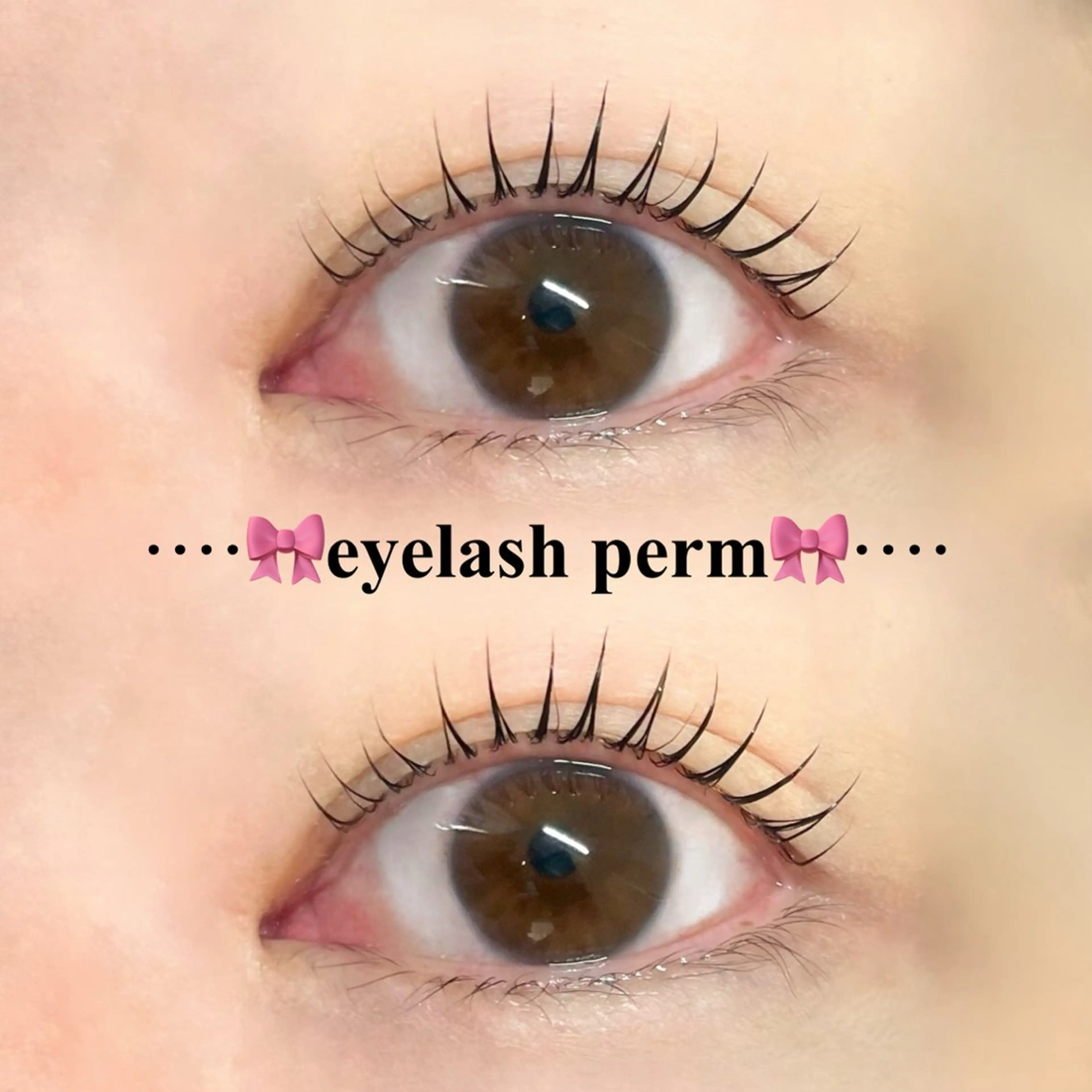 【当日予約OK】🐝新規様限定まつげパーマ🐝まつげぱっちりしたい方お任せ下さい💪✨の写真