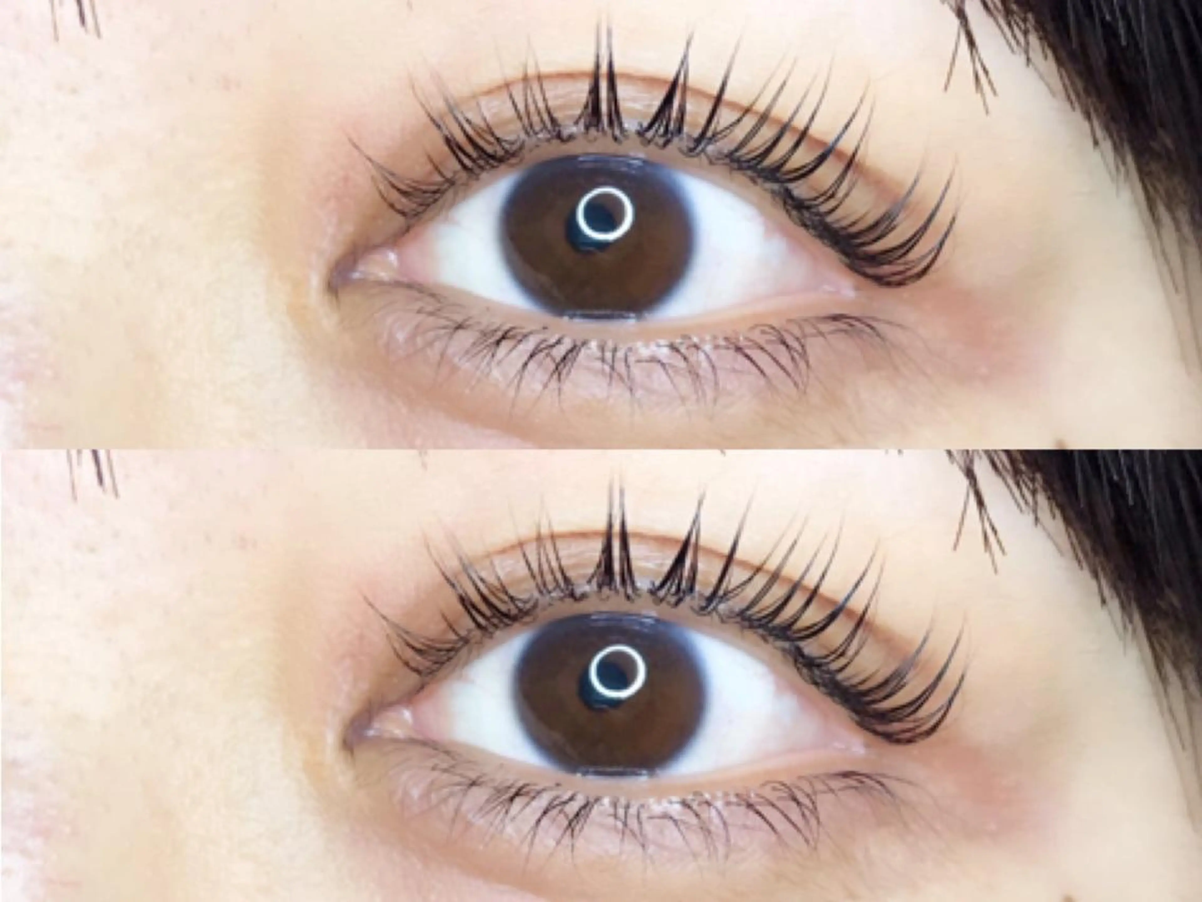 マツエク・マツパ 《eyelash ｉｉｔｅ》森のマツエク・マツパデザイン