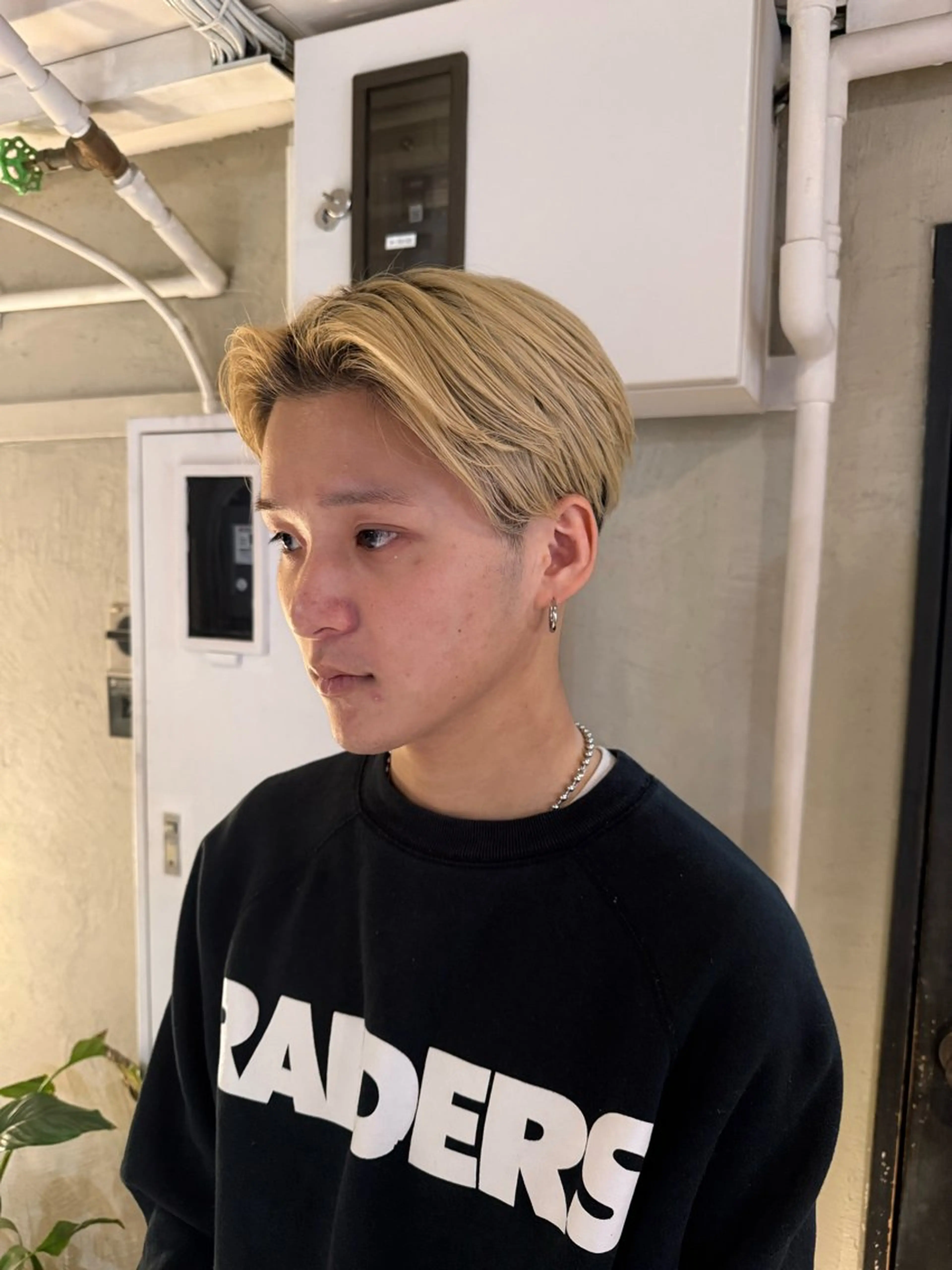 ショート カラー ヘアアレンジ カット トリートメント ヘアセット 海外/ハイトーン🪽 ☯️ami☯️のヘアスタイル