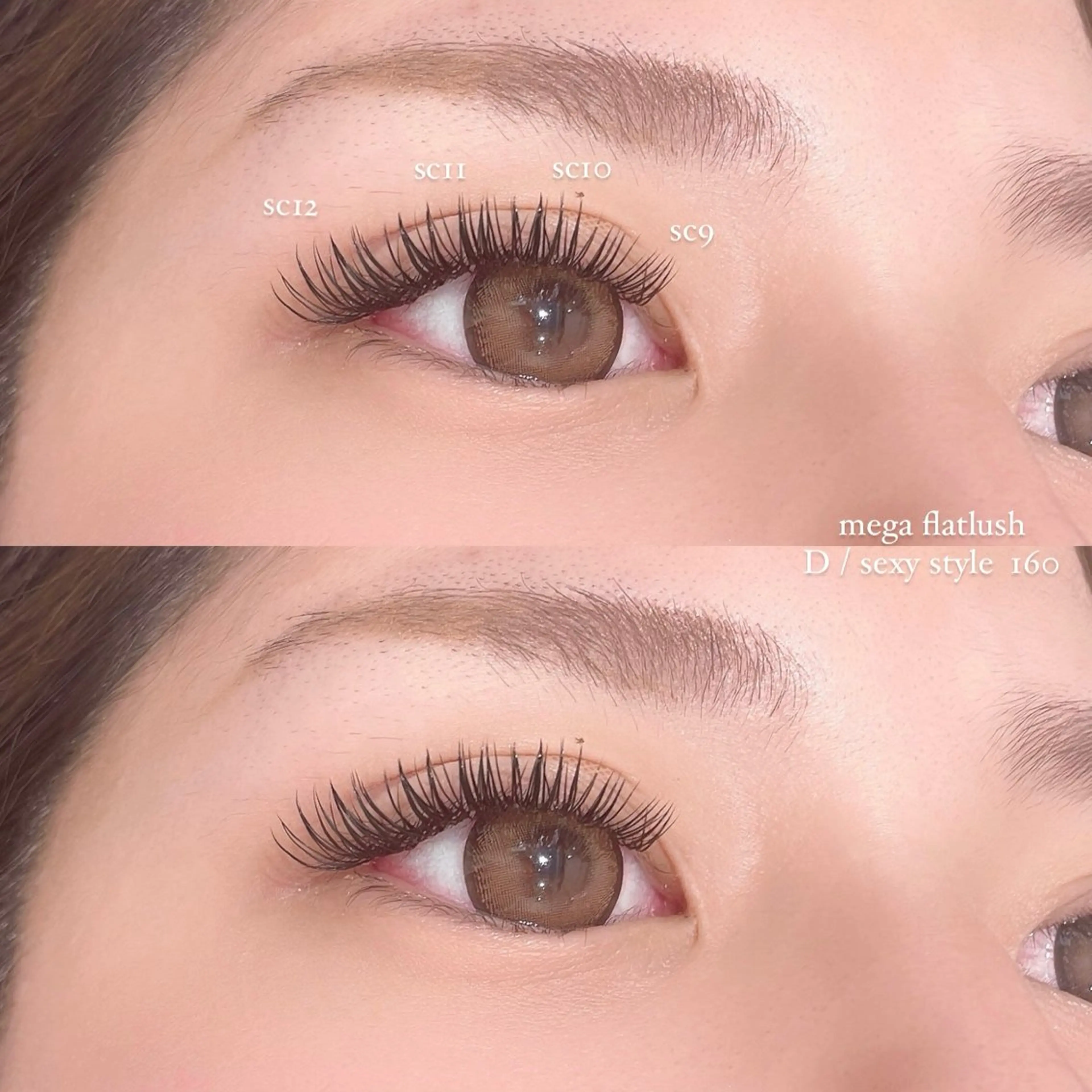 🌻メガフラットラッシュ160本【オフなし】の写真