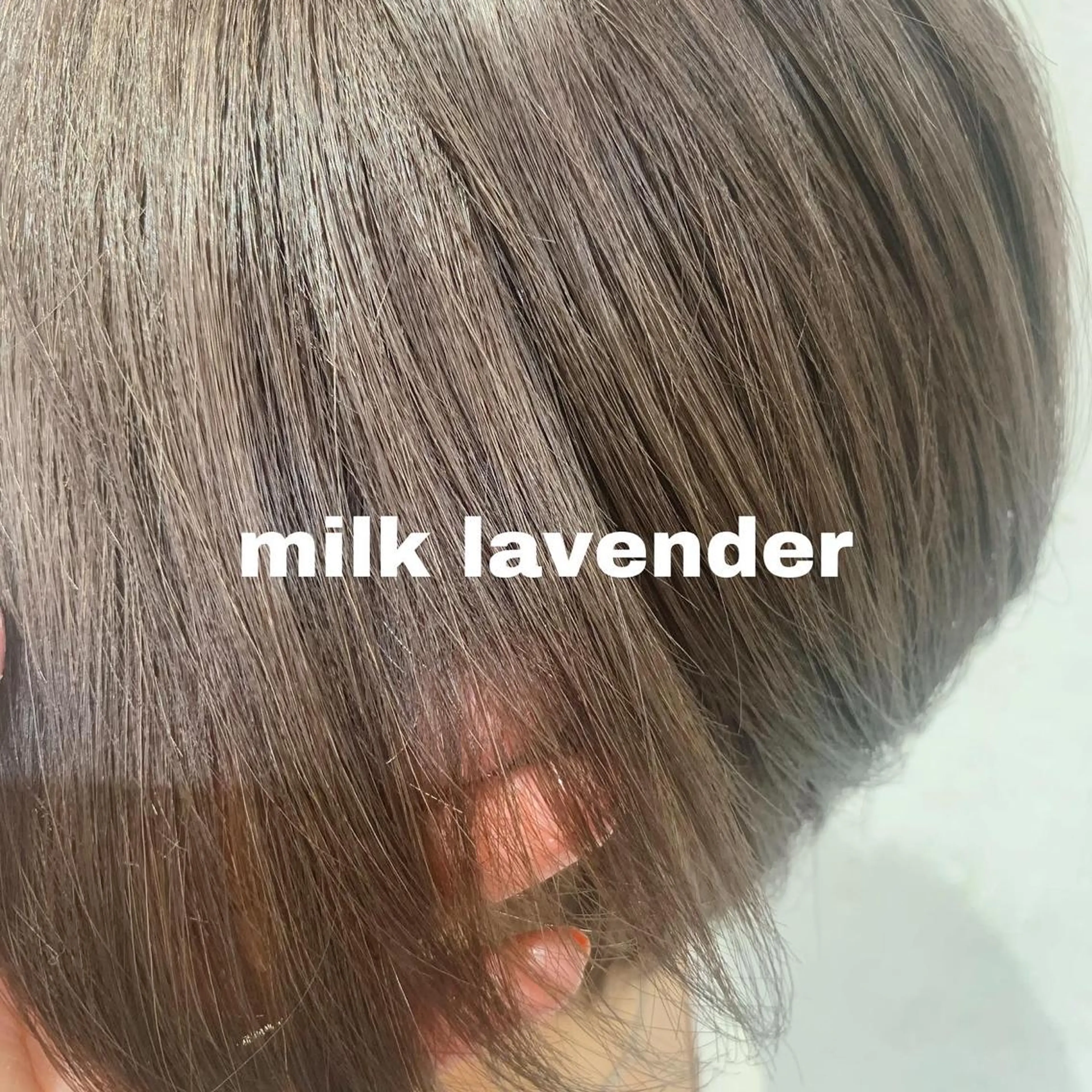 haru/レイヤー/ ウルフのヘアスタイル