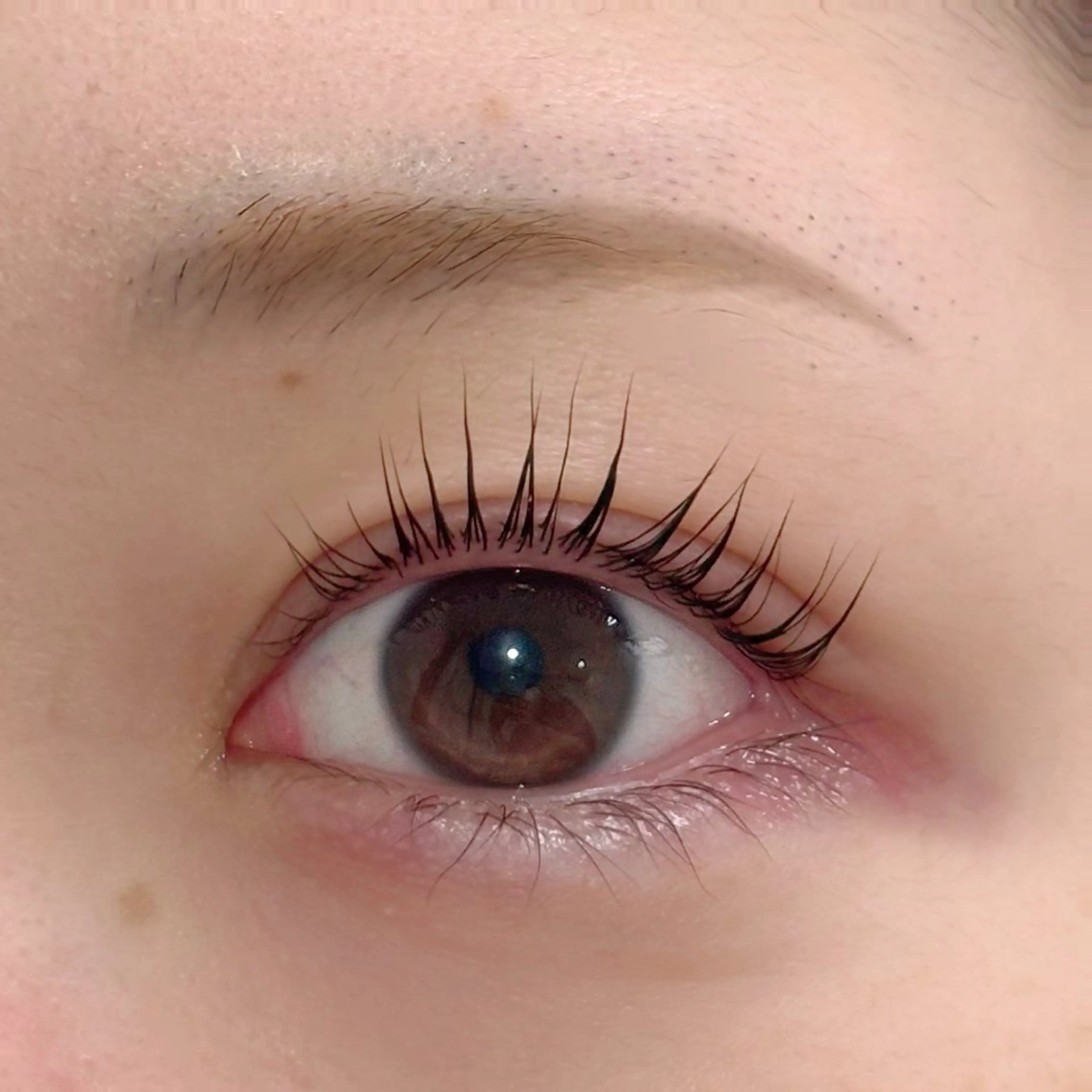 マツエク・マツパ パリジェンヌラッシュリフト vimLash RICOのマツエク・マツパデザイン