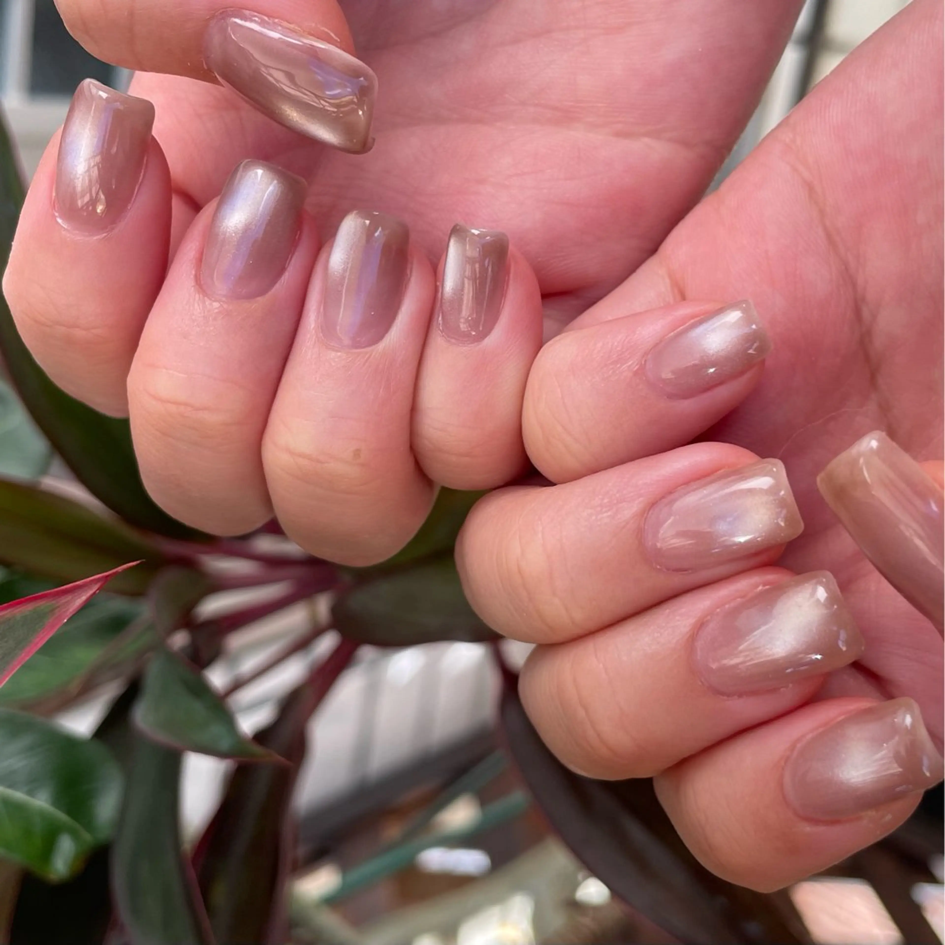 ワンカラー👩🏼‍🎨オフ無しの写真