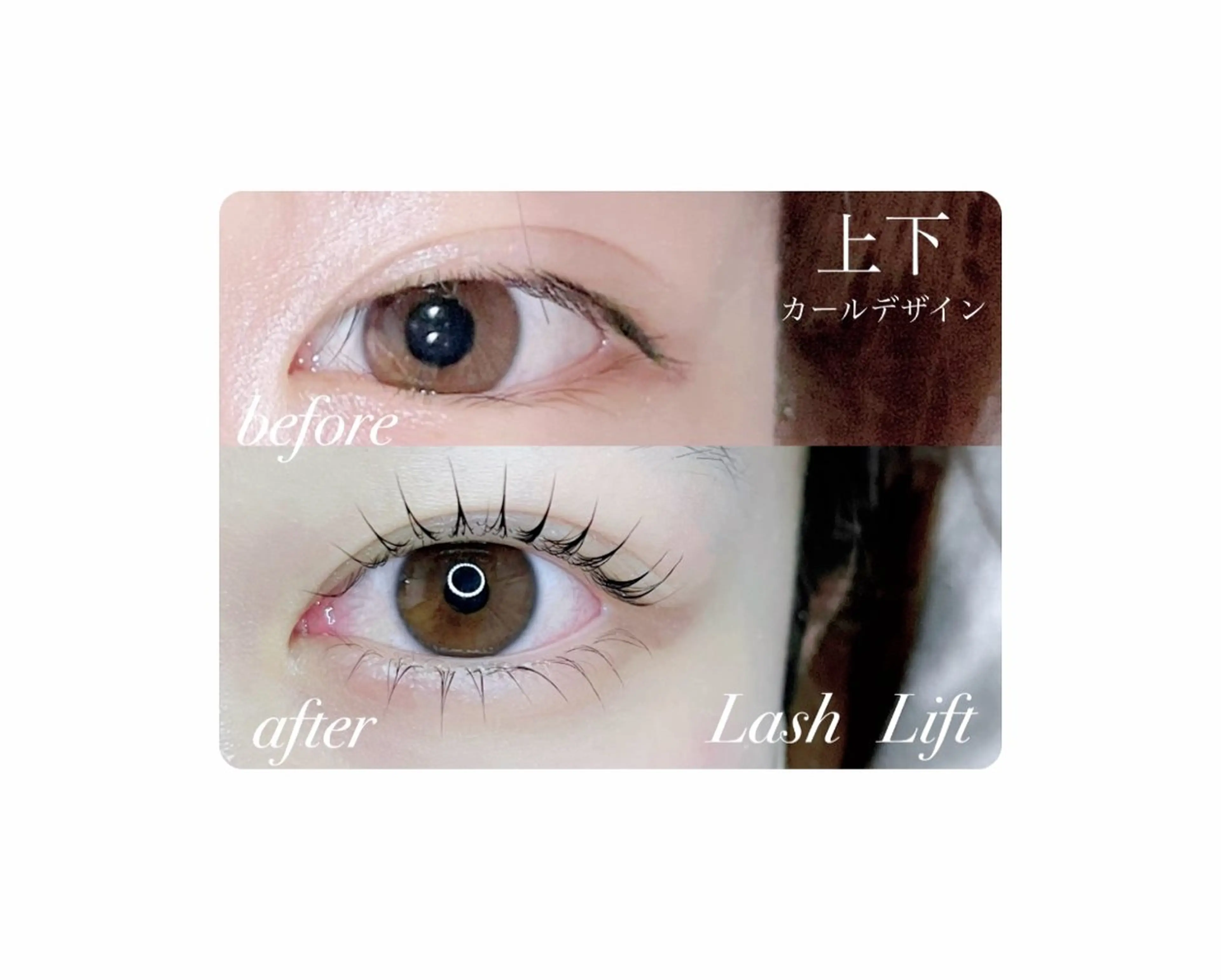 2か月以内のご来店【Lash Lift】上下まつ毛パーマの写真