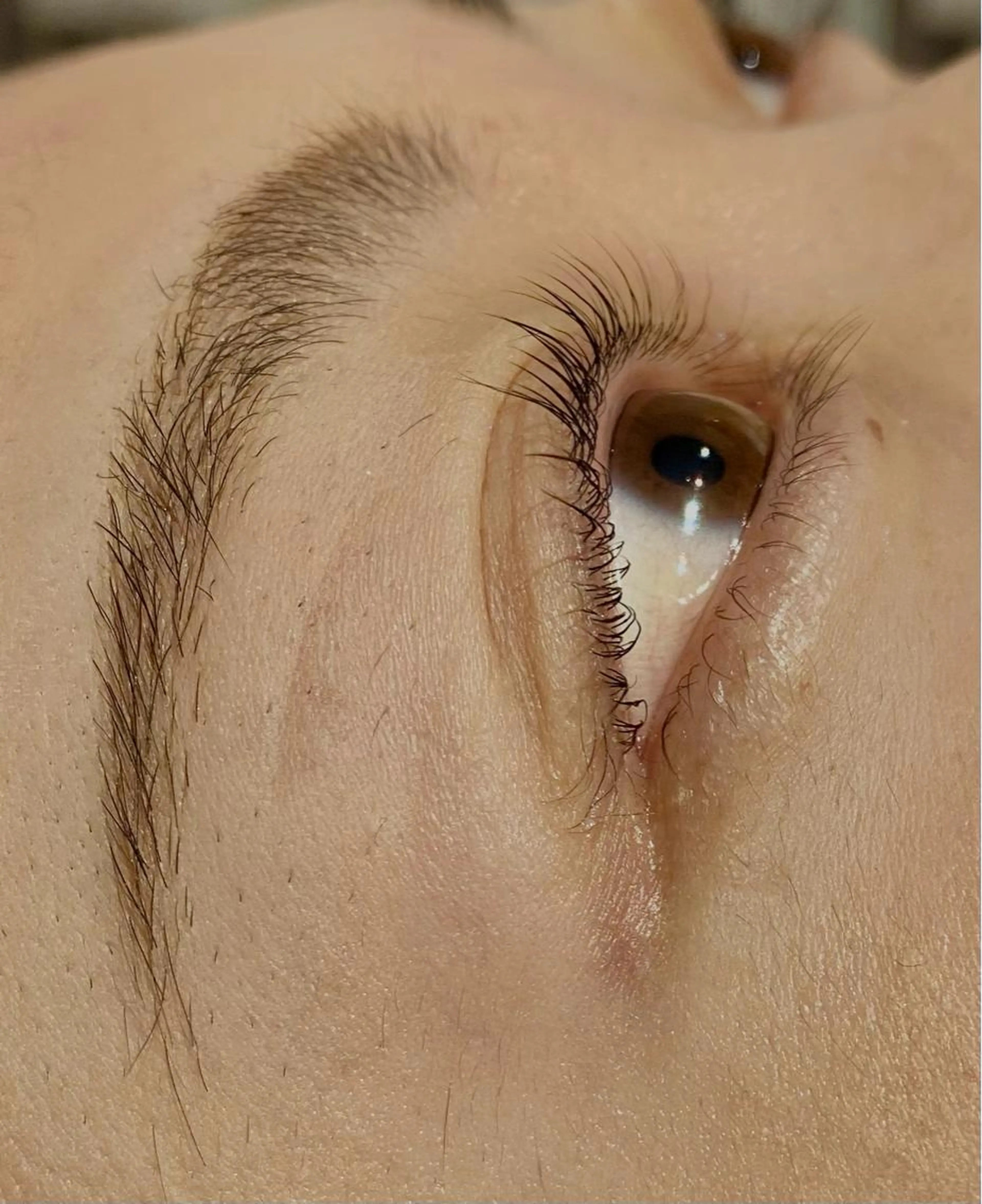 《今、話題✨》外国人みたい眉へ眉毛パーマ ブロウラミネーション＋まつげパーマの写真