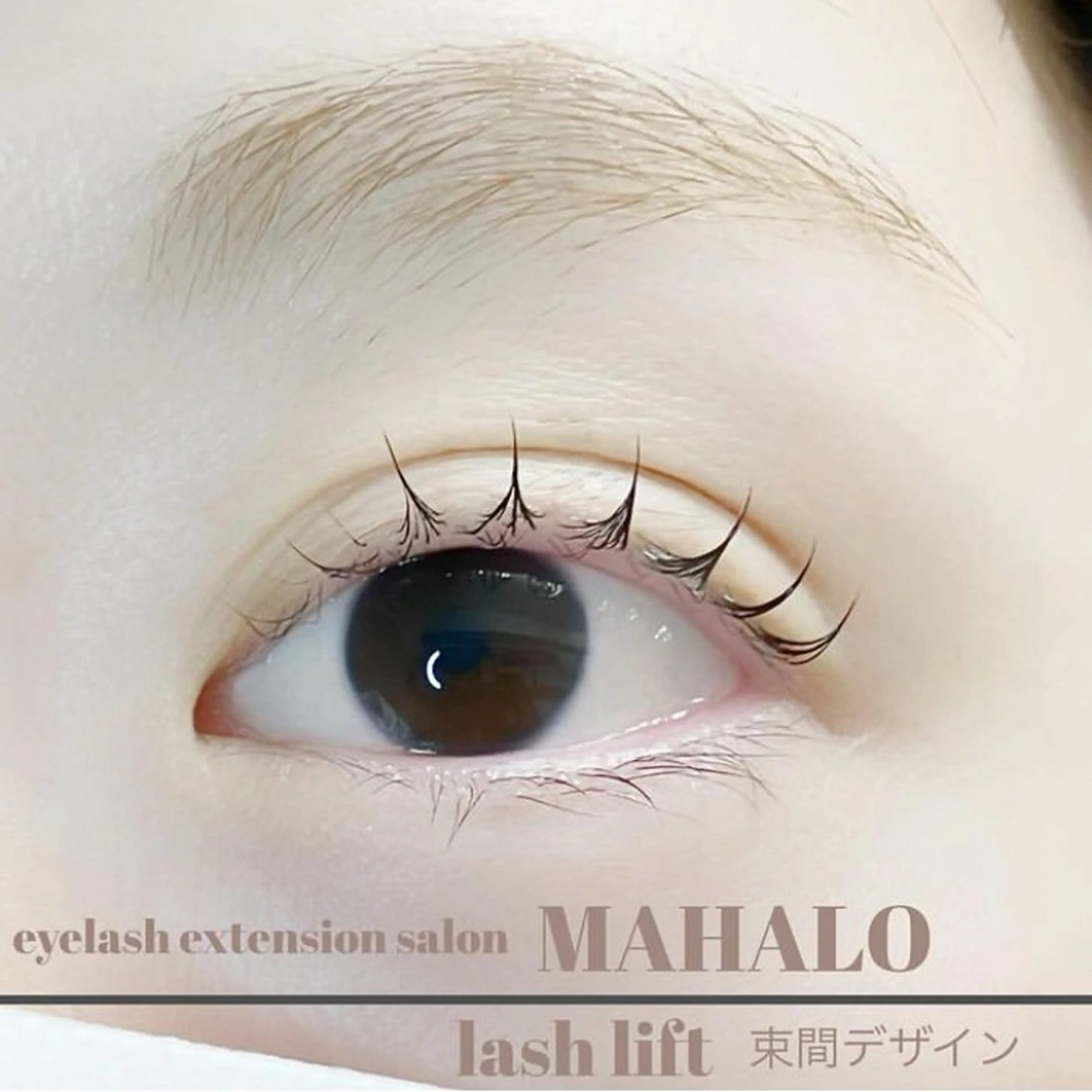 マツエク・マツパ 束感まつ毛 マツパ MAHALO 𓆉の眉毛・アイブロウイメージ