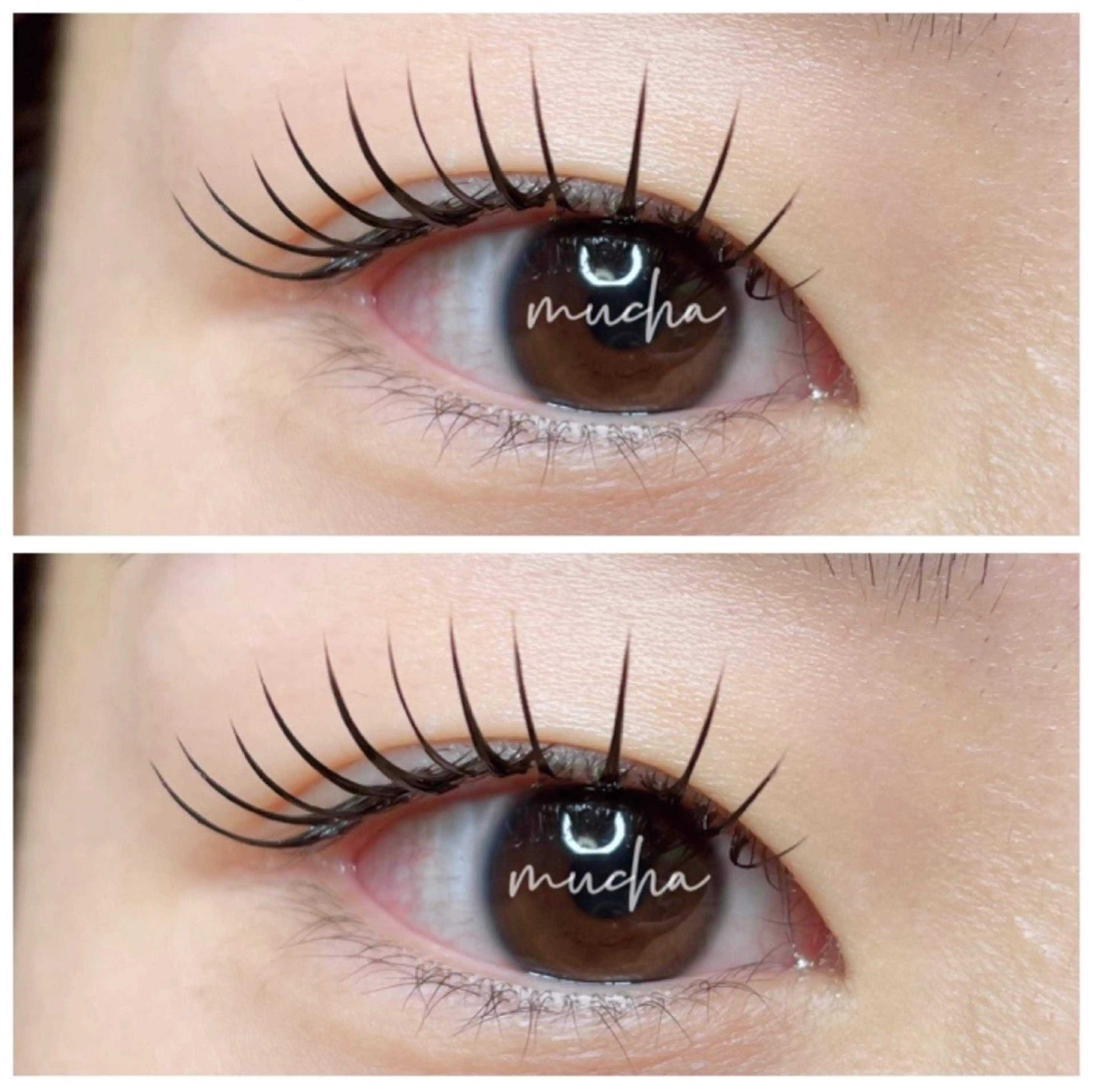 マツエク・マツパ Cカール フラットラッシュ マツエク eyelash muchaのマツエク・マツパデザイン