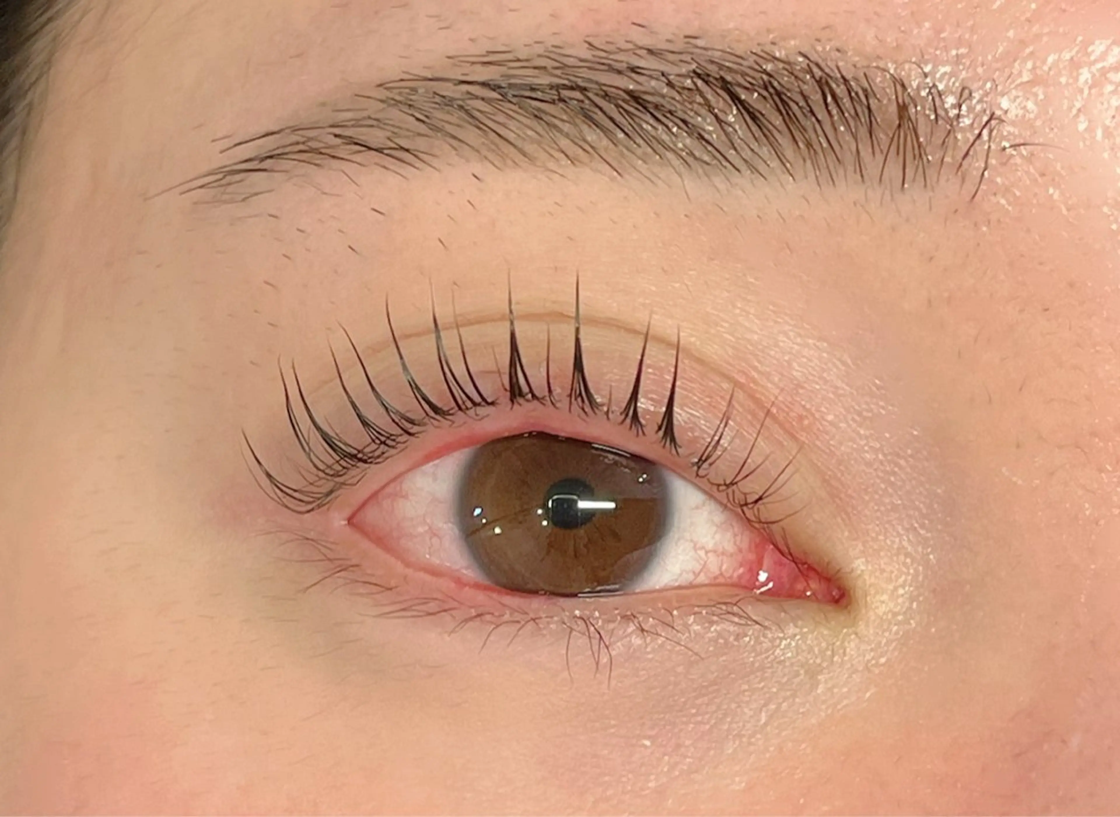 マツエク・マツパ パリジェンヌラッシュリフト Bruges 久留島のマツエク・マツパデザイン