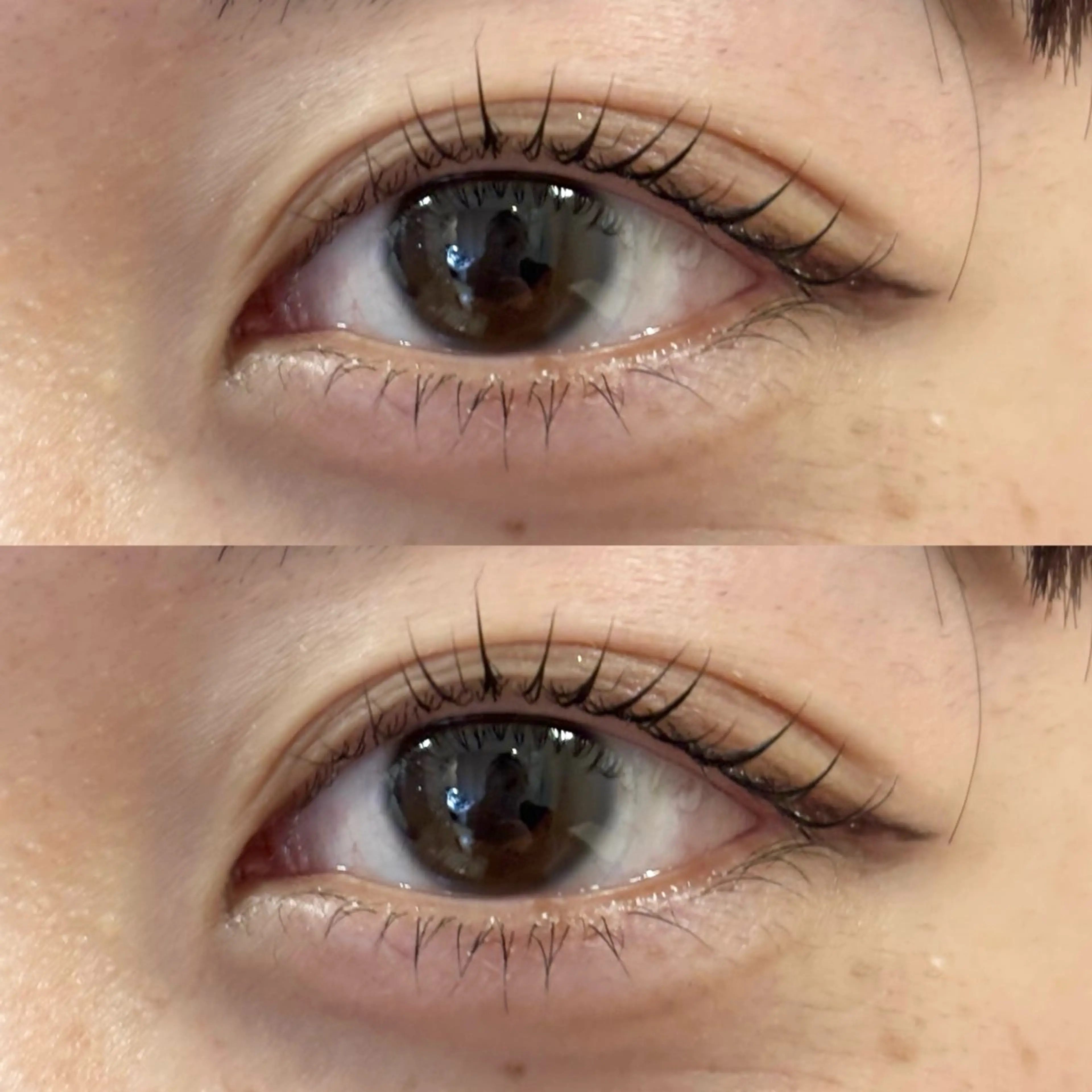 ❣️上下まつげパーマ❣️【パリジェンヌ・似合わせラッシュリフト】✨の写真