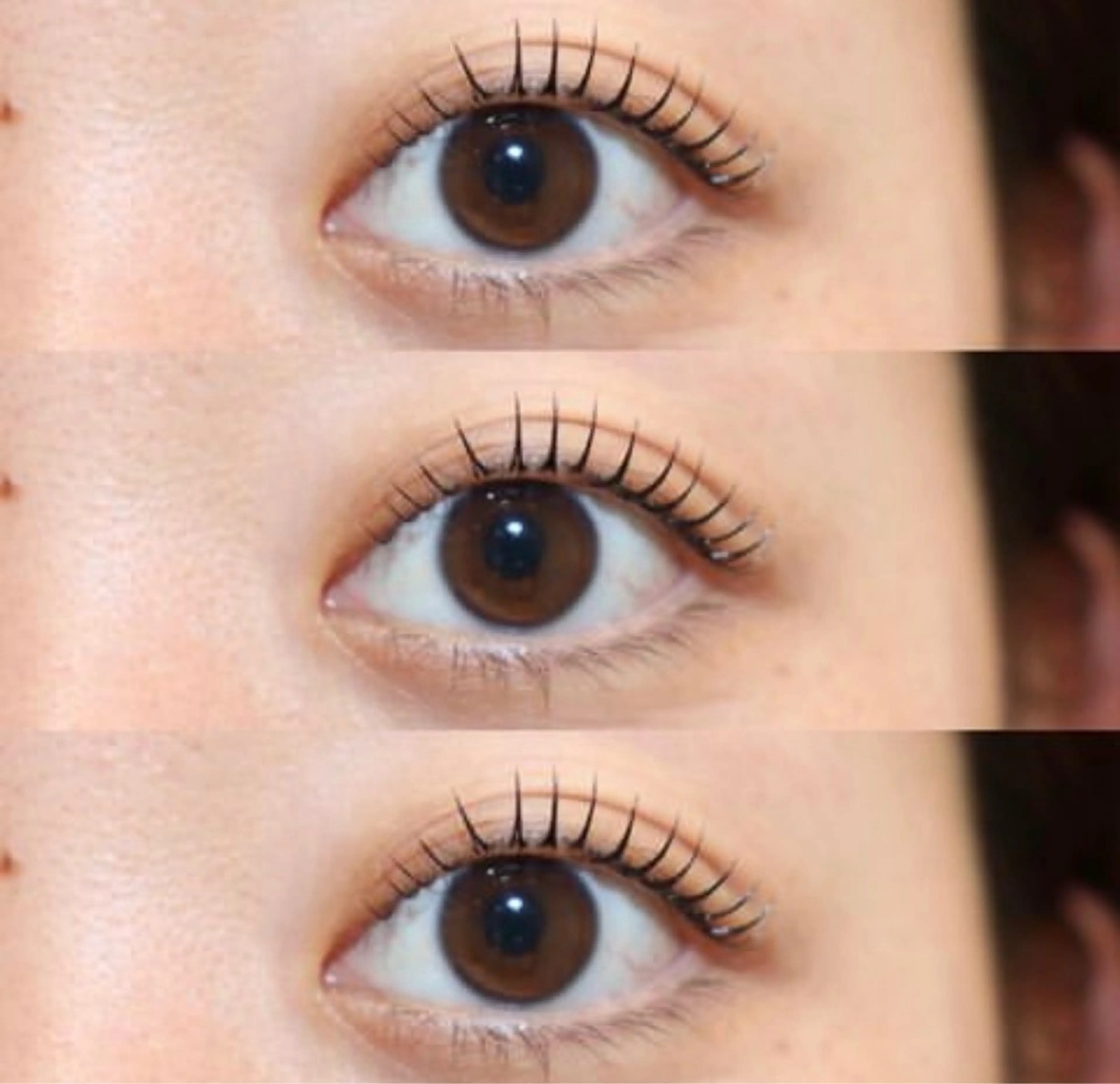 似合わせラッシュリフト（ティント付き）の写真