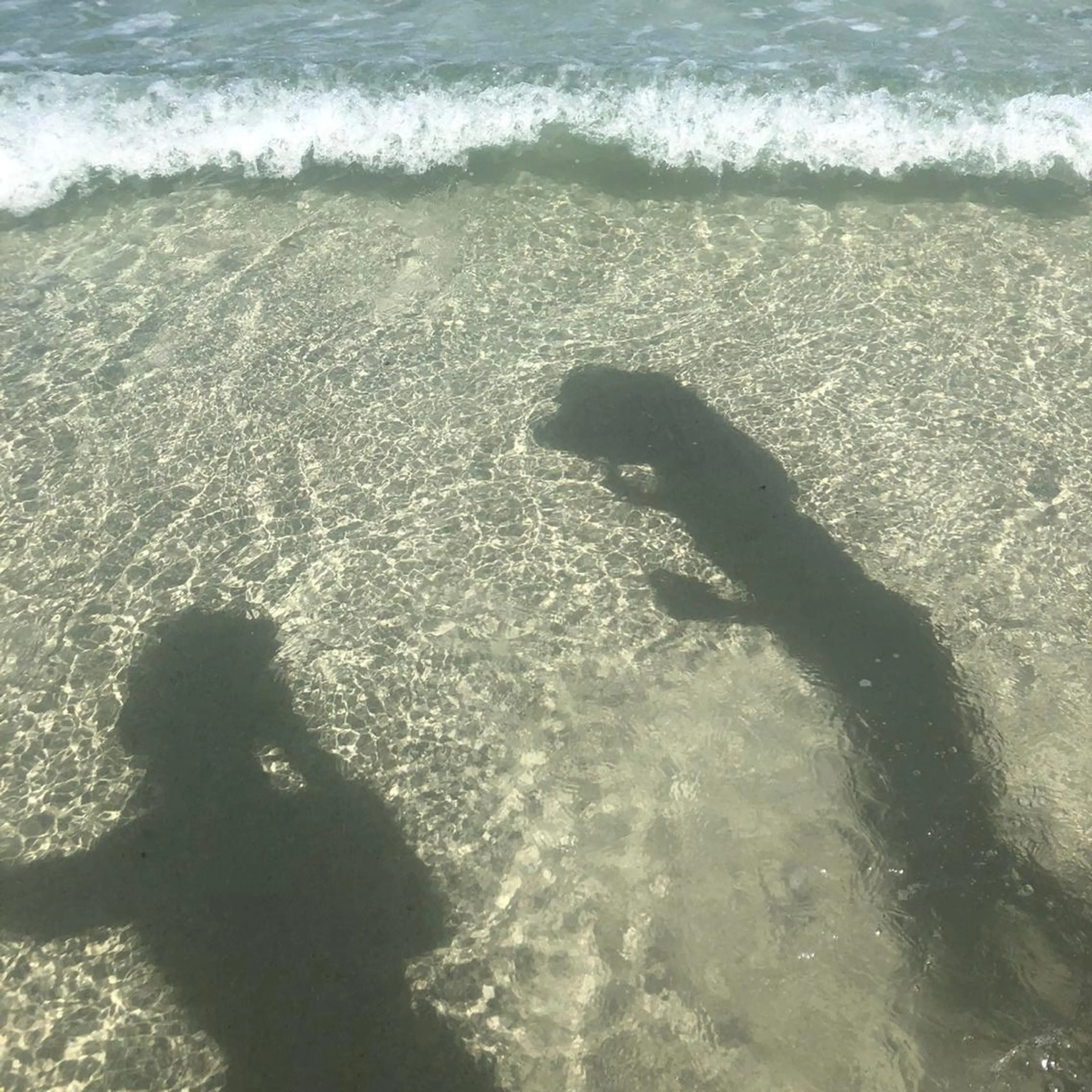 𝘮 𝘢 𝘰 .のマツエク・マツパデザイン