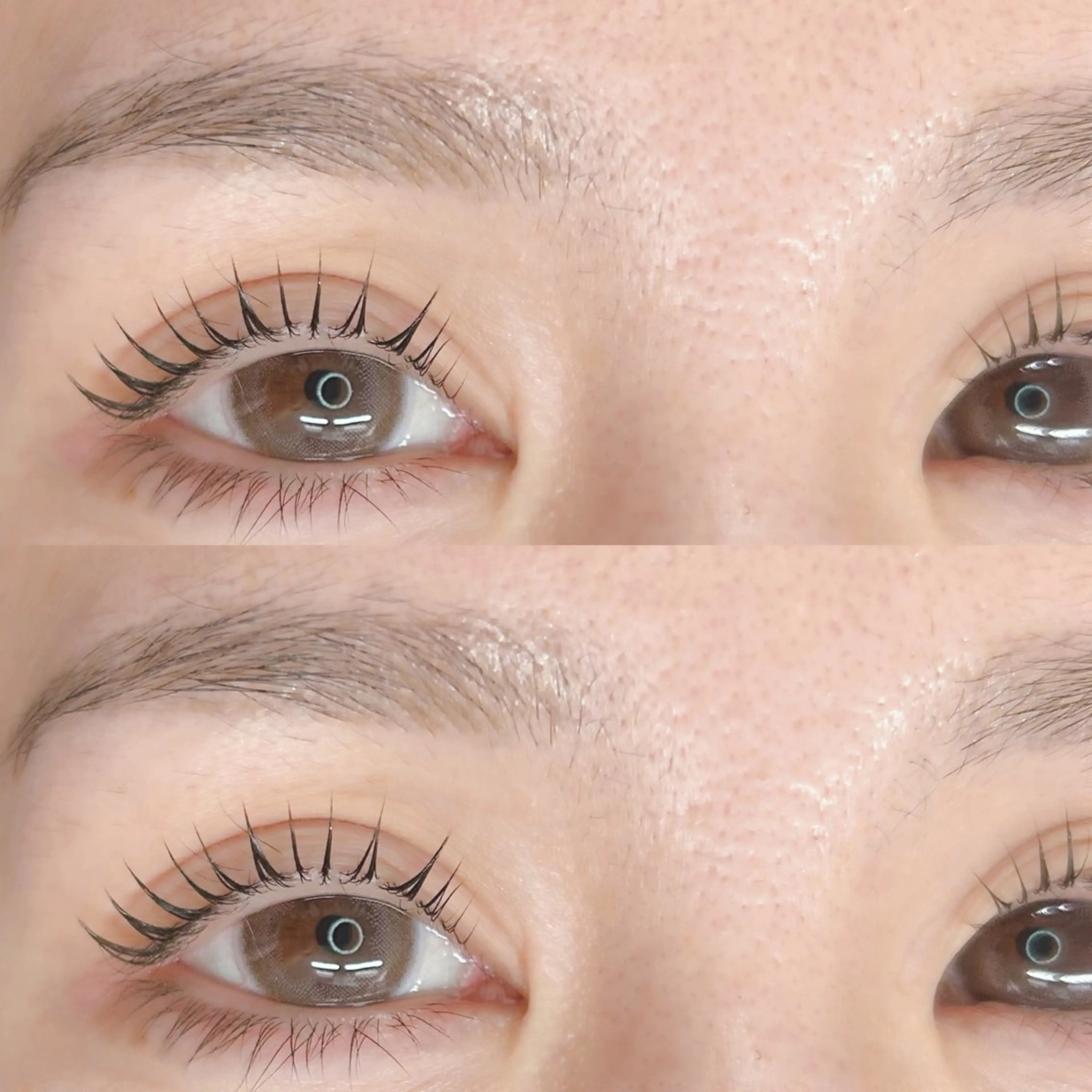 マツエク・マツパ パリジェンヌラッシュリフト マツパ GALN 🎀 yumi パリエクのマツエク・マツパデザイン