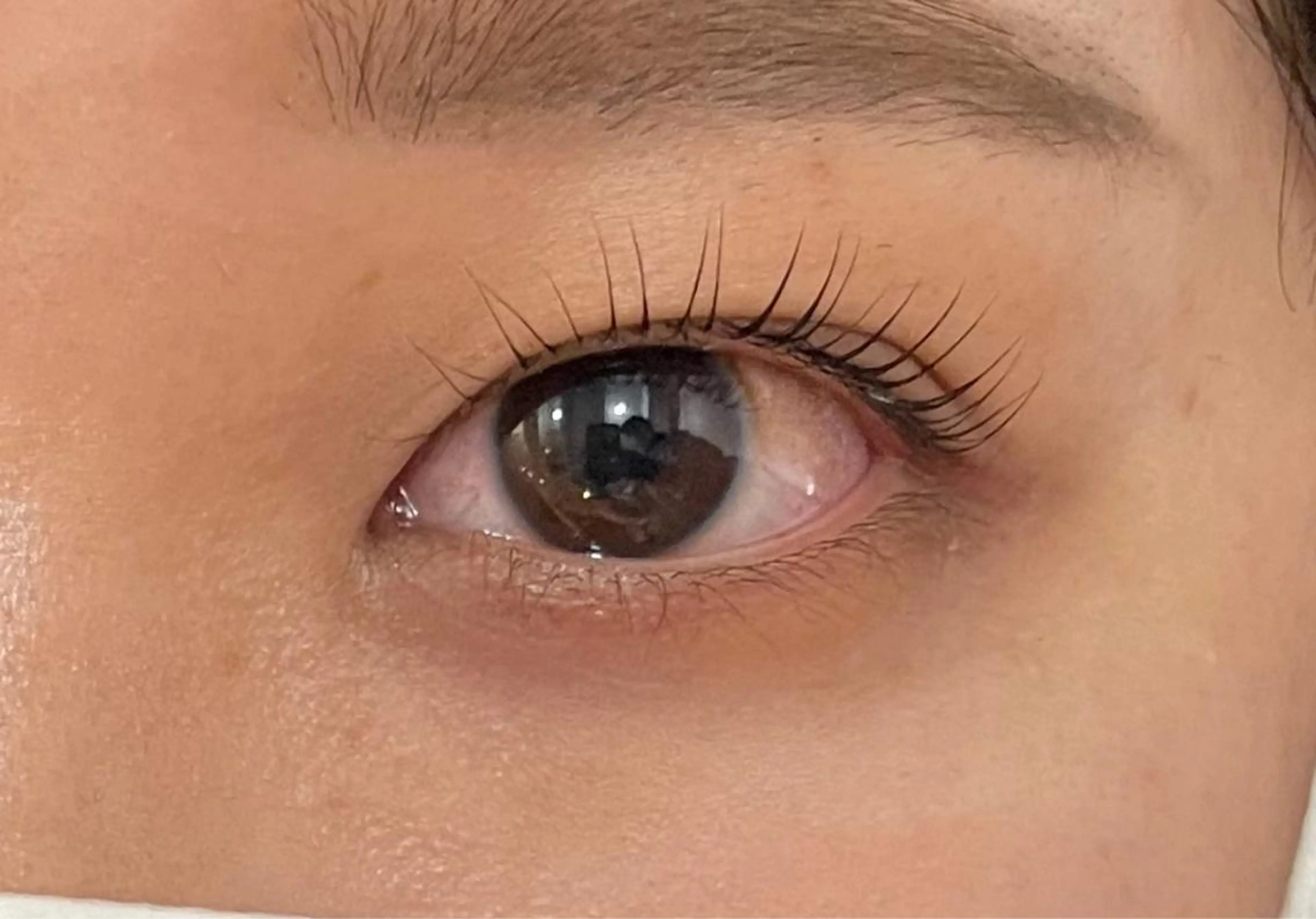 マツエク・マツパ マリーテレジア 🌻RUKAのマツエク・マツパデザイン