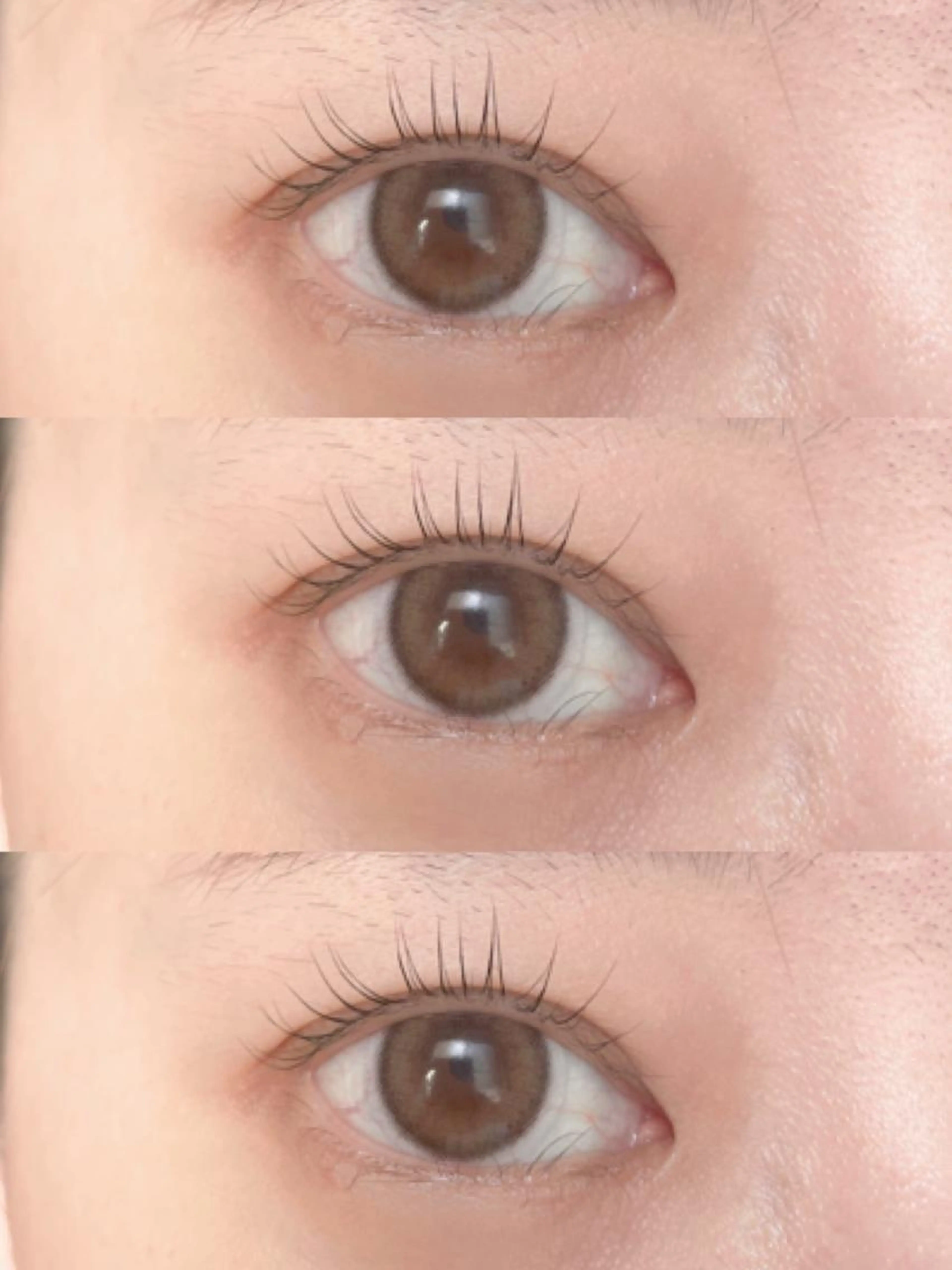 まつ毛パーマ＋美容液コーティング🧸💓の写真