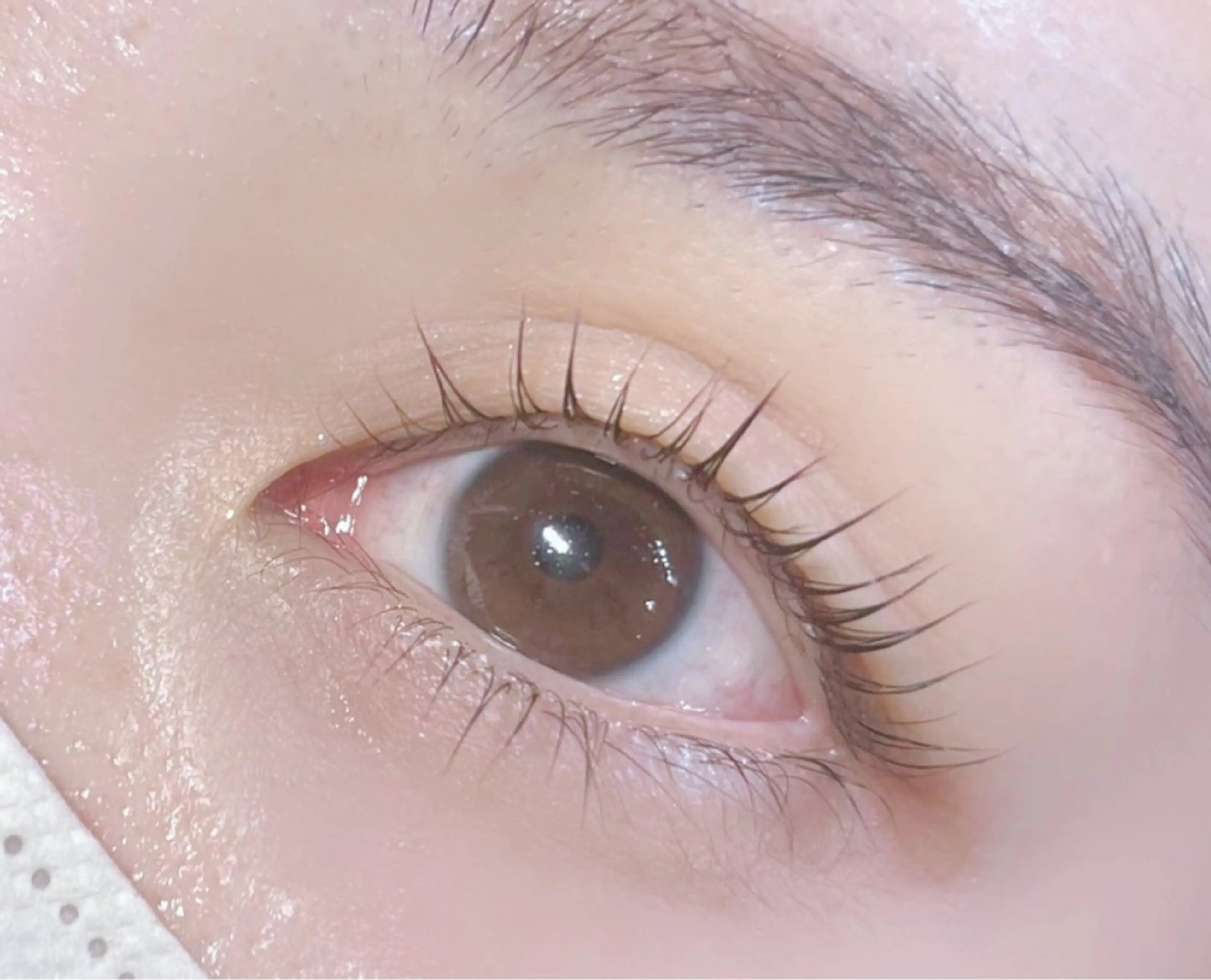 マツエク・マツパ まつげパーマ IIJIMA /まつパ/パリ/束感のマツエク・マツパデザイン