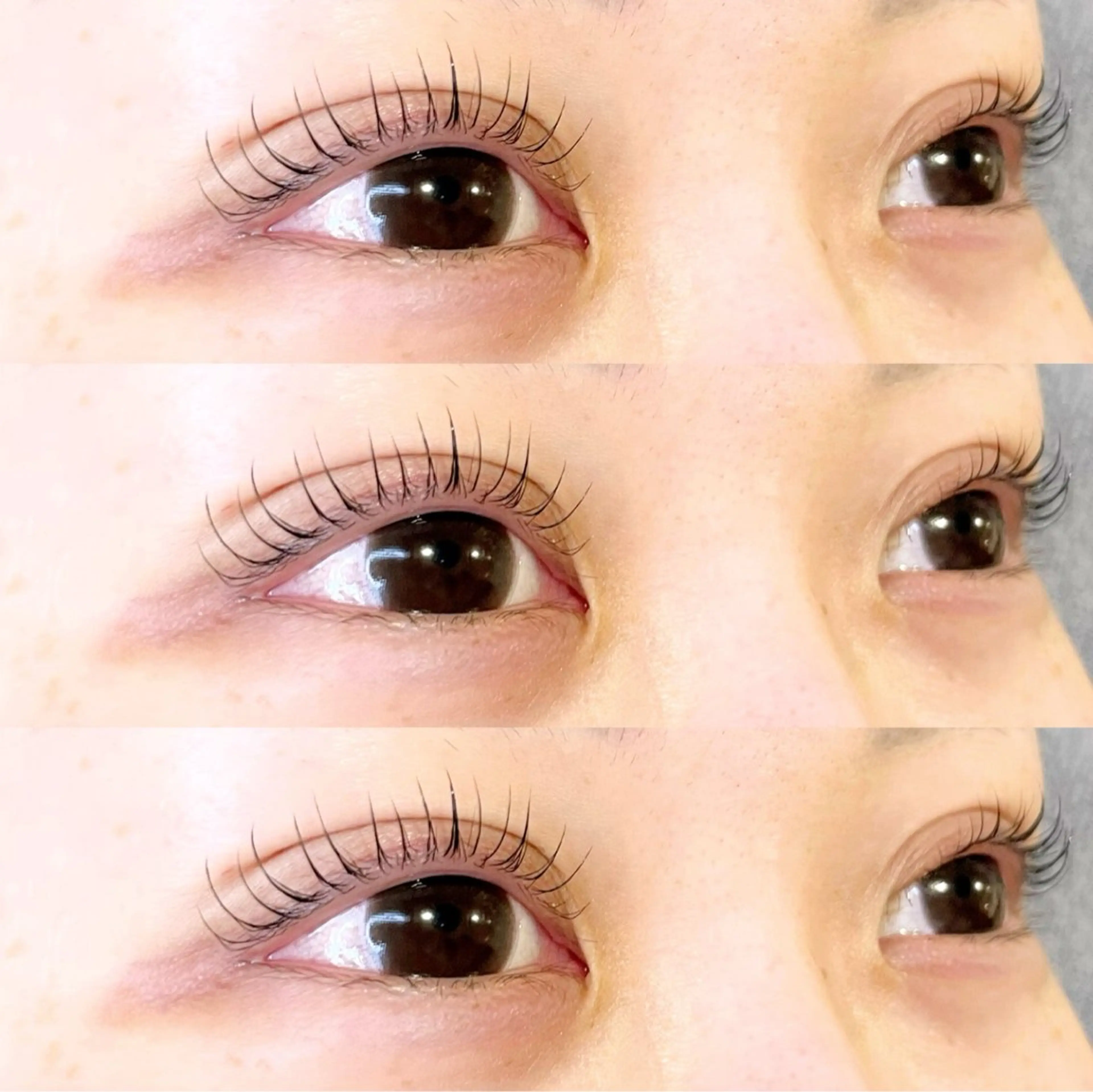 マツエク・マツパ マツパ Clair もりたにのマツエク・マツパデザイン