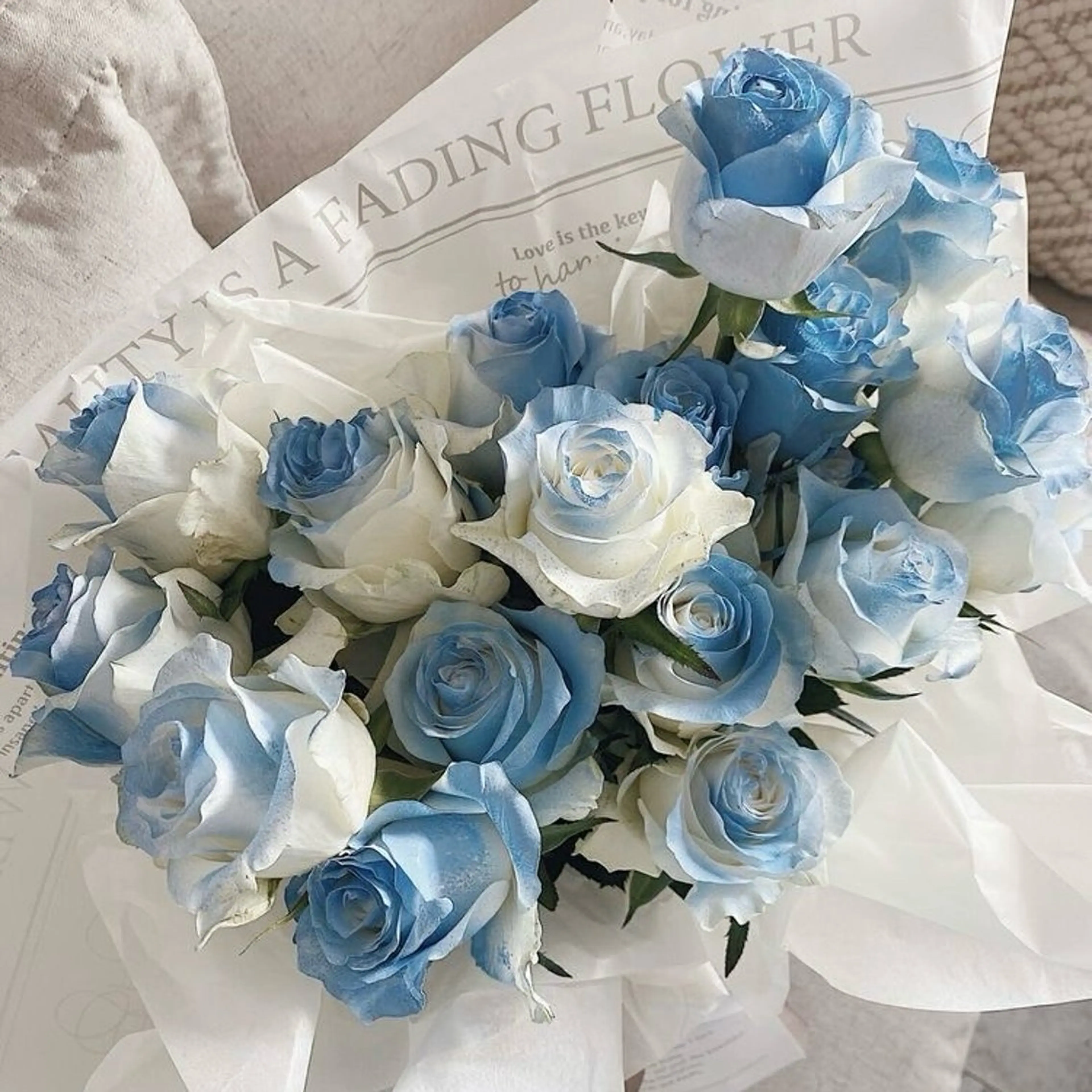 丸山 知夏のマツエク・マツパデザイン