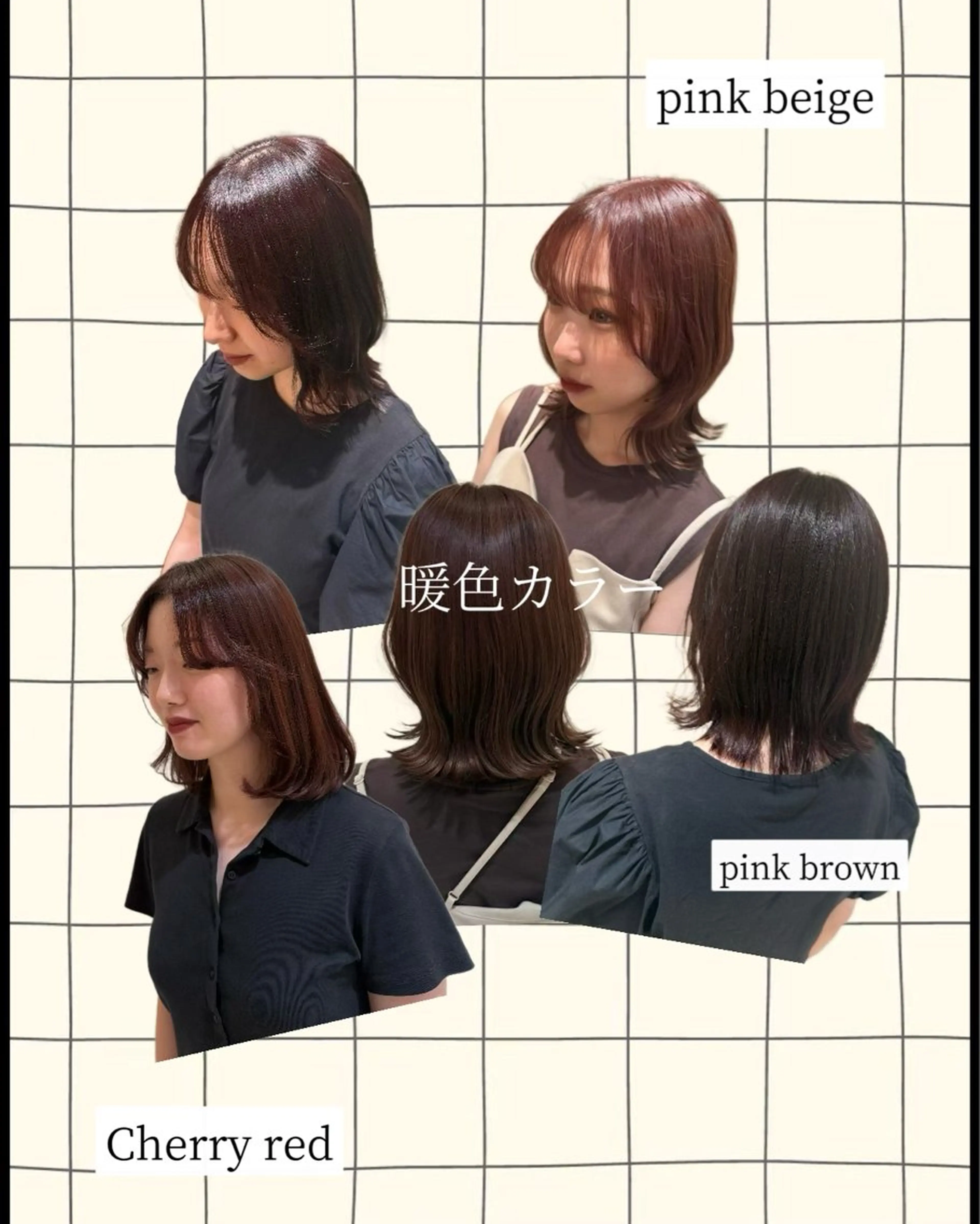 ワンカラーモデル様募集の写真