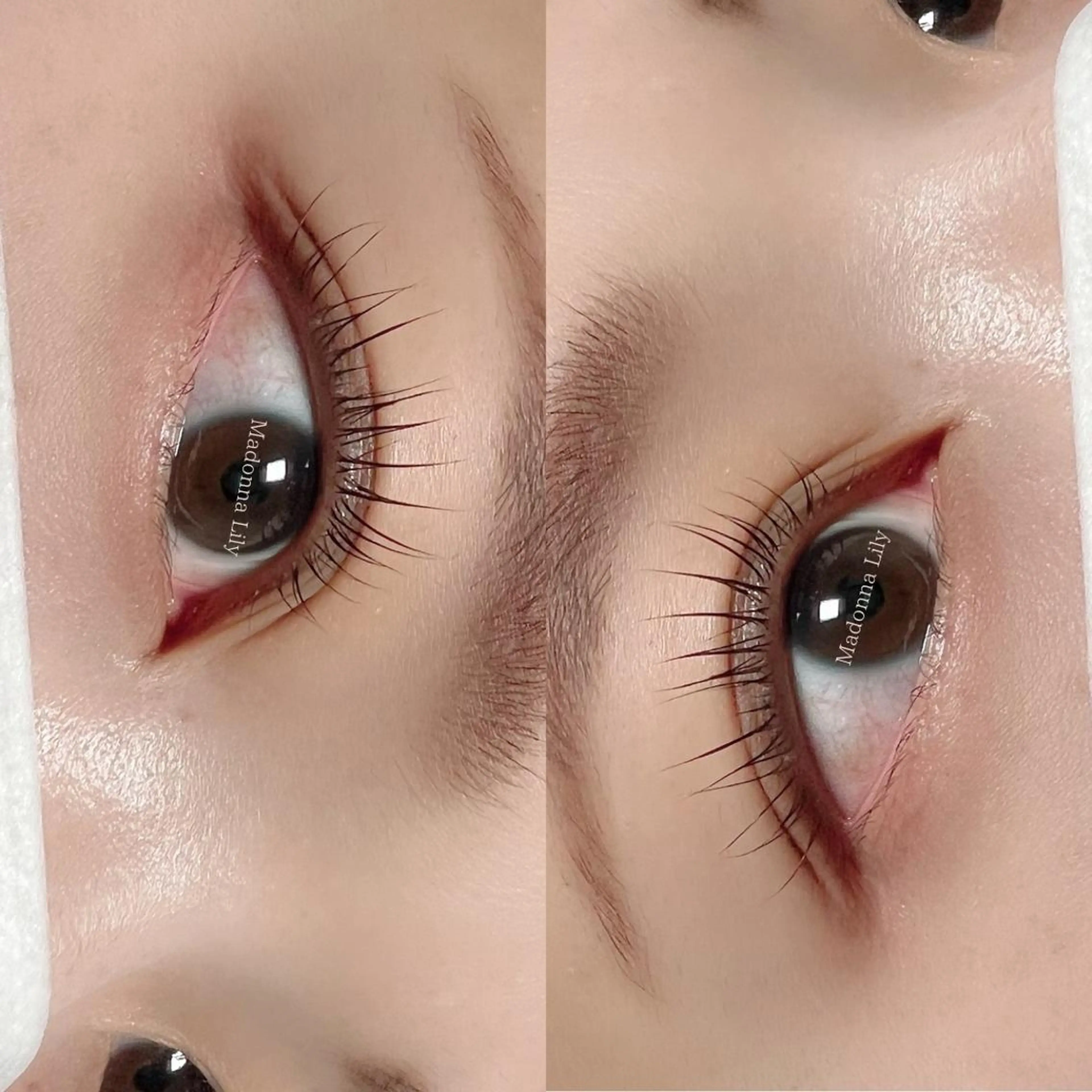 マツエク・マツパ Madonna Lilyのマツエク・マツパデザイン