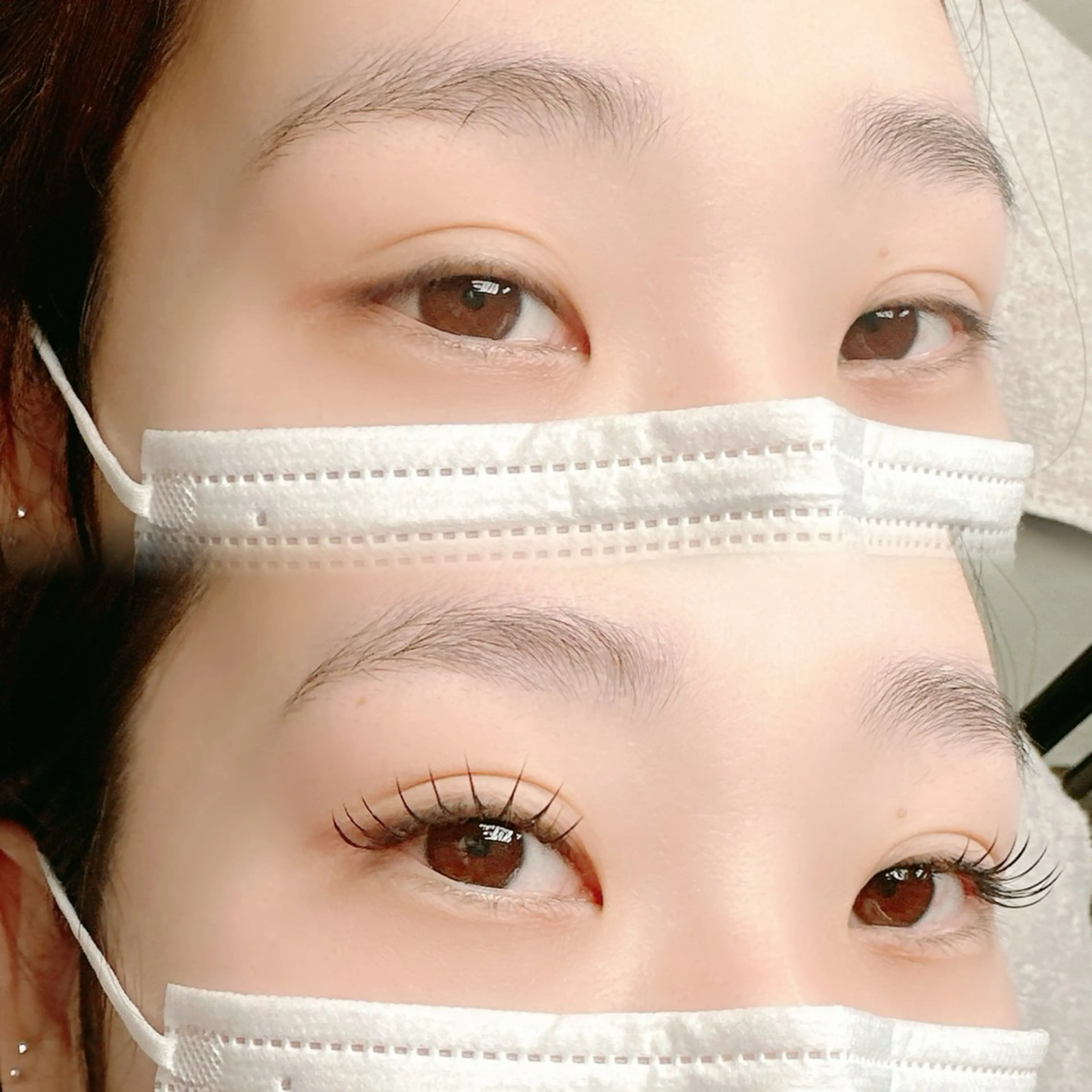 ダブルフラット80束　(160本)　平日限定ミニモ価格の写真