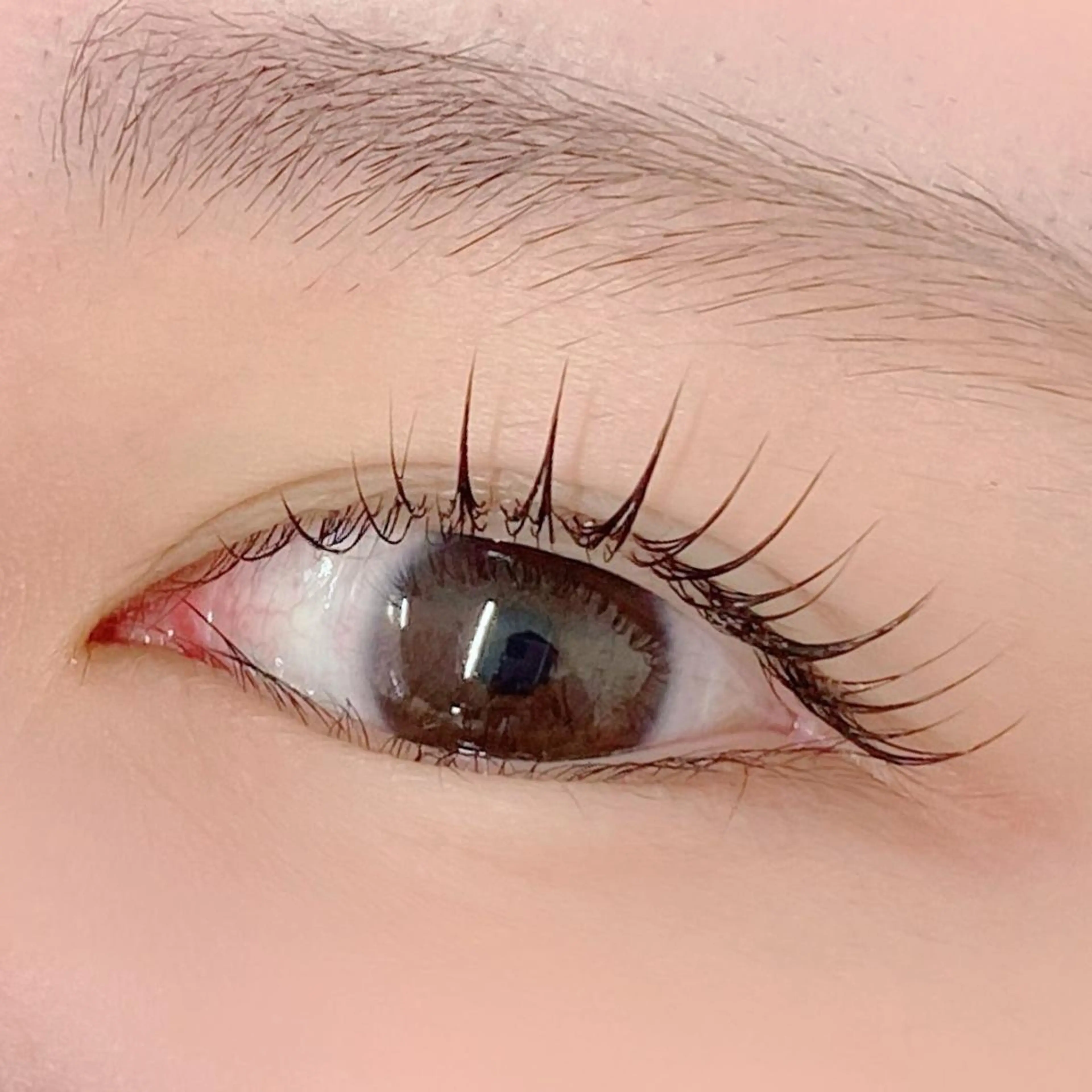 マツエク・マツパ AIRISU𓍯 eyelashのマツエク・マツパデザイン