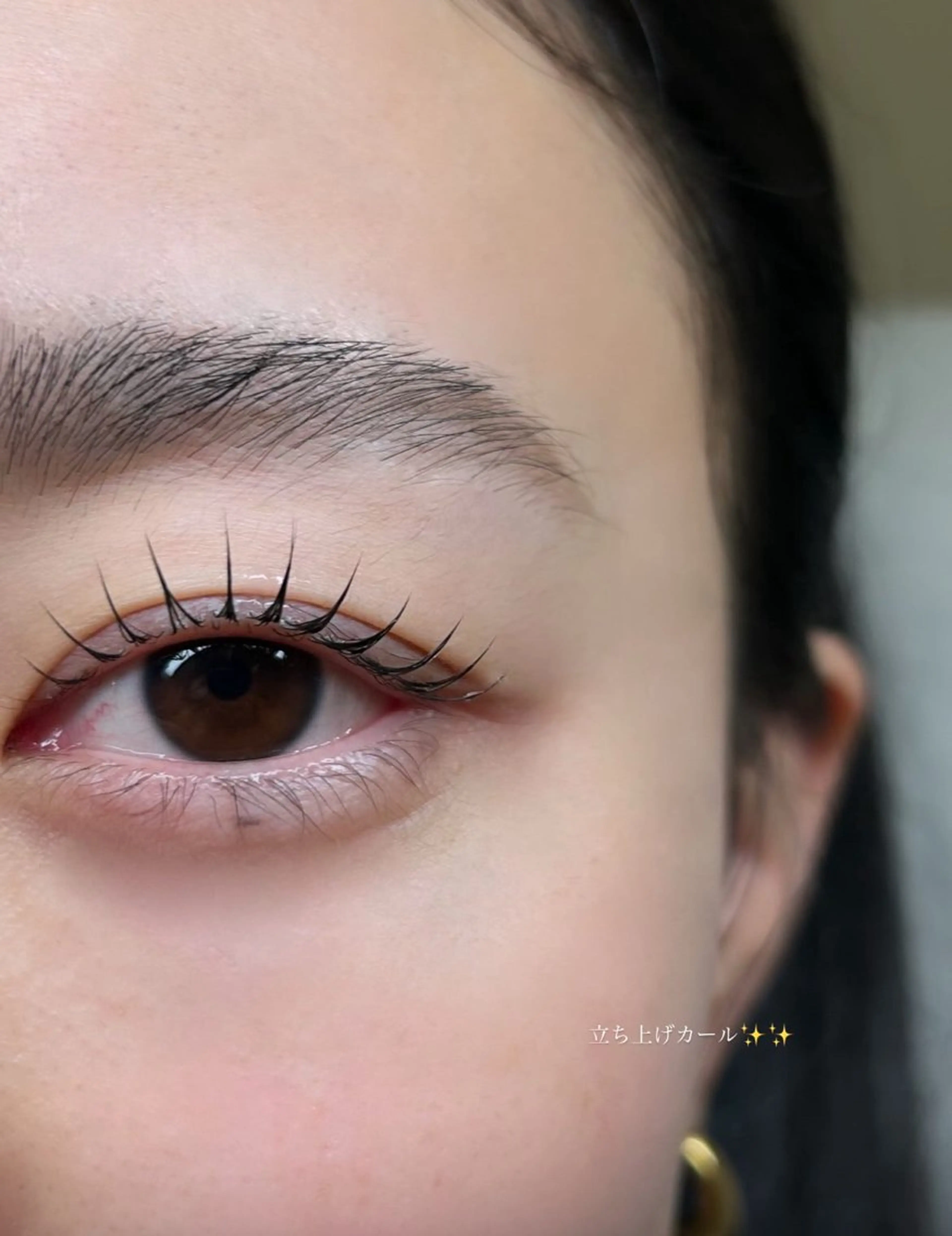 【人気No.1】似合わせラッシュリフト🩰　コーティング仕上げ付き　~補足お読みください~の写真