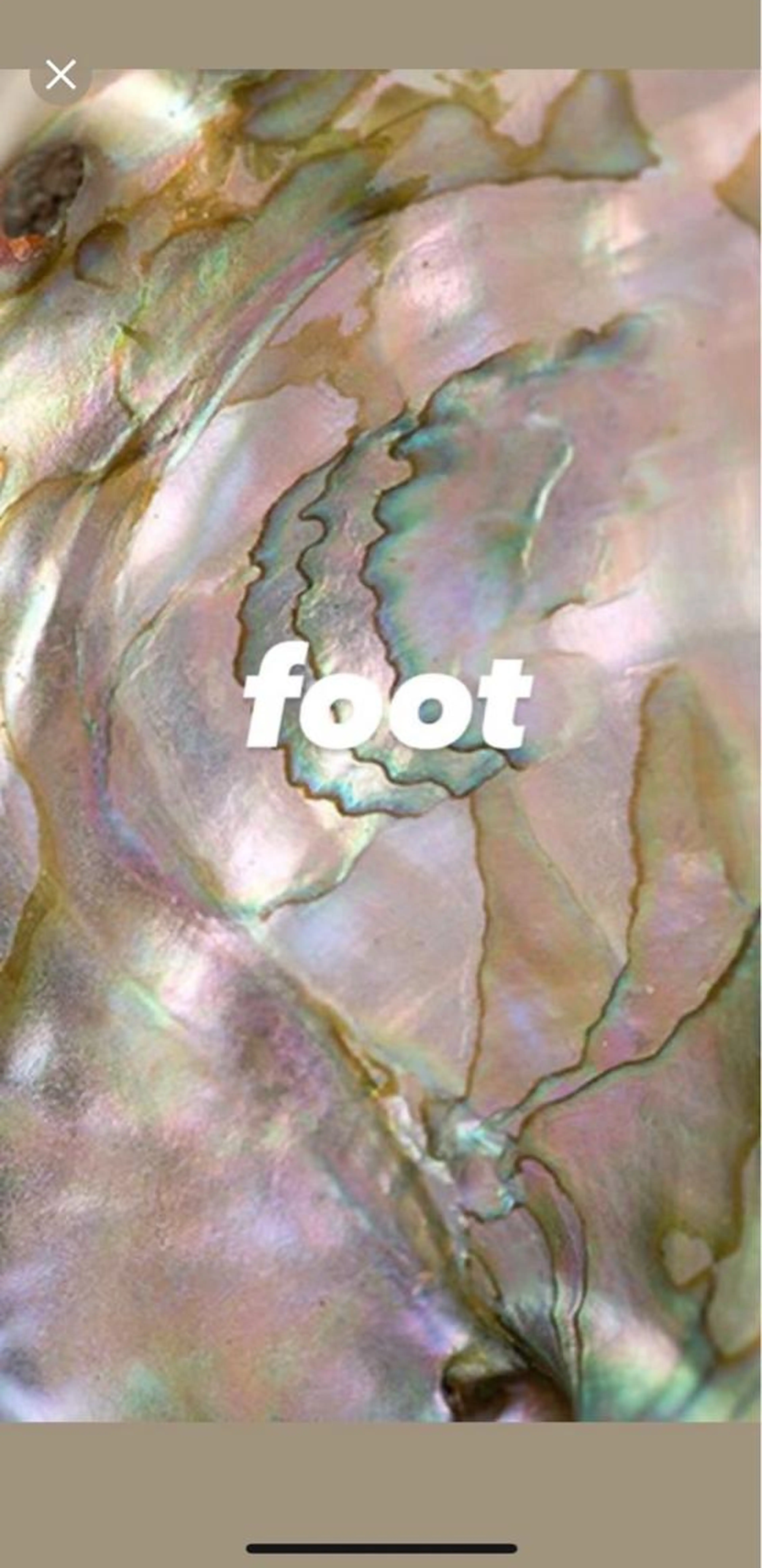 【Foot】オフ込選べる色ワンカラー🍊👣(パラジェル変更可、リピーター様+¥1000)の写真