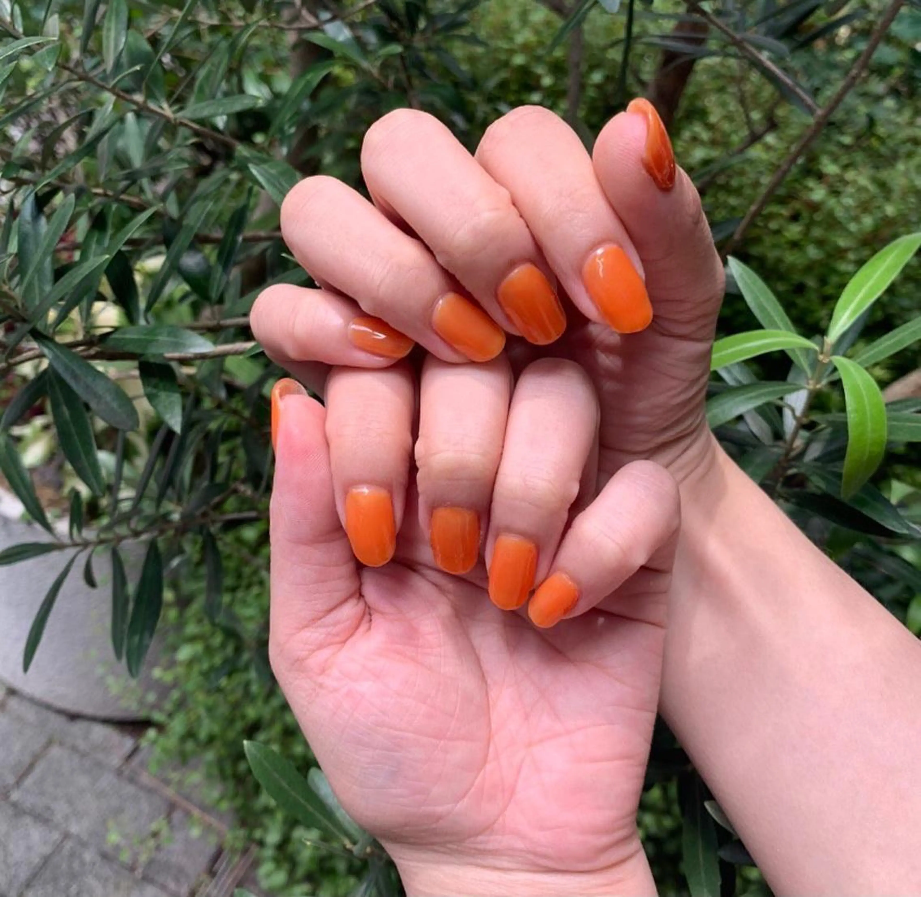 ネイル ワンカラーネイル 淡色ネイル 🎀moeのネイルデザイン