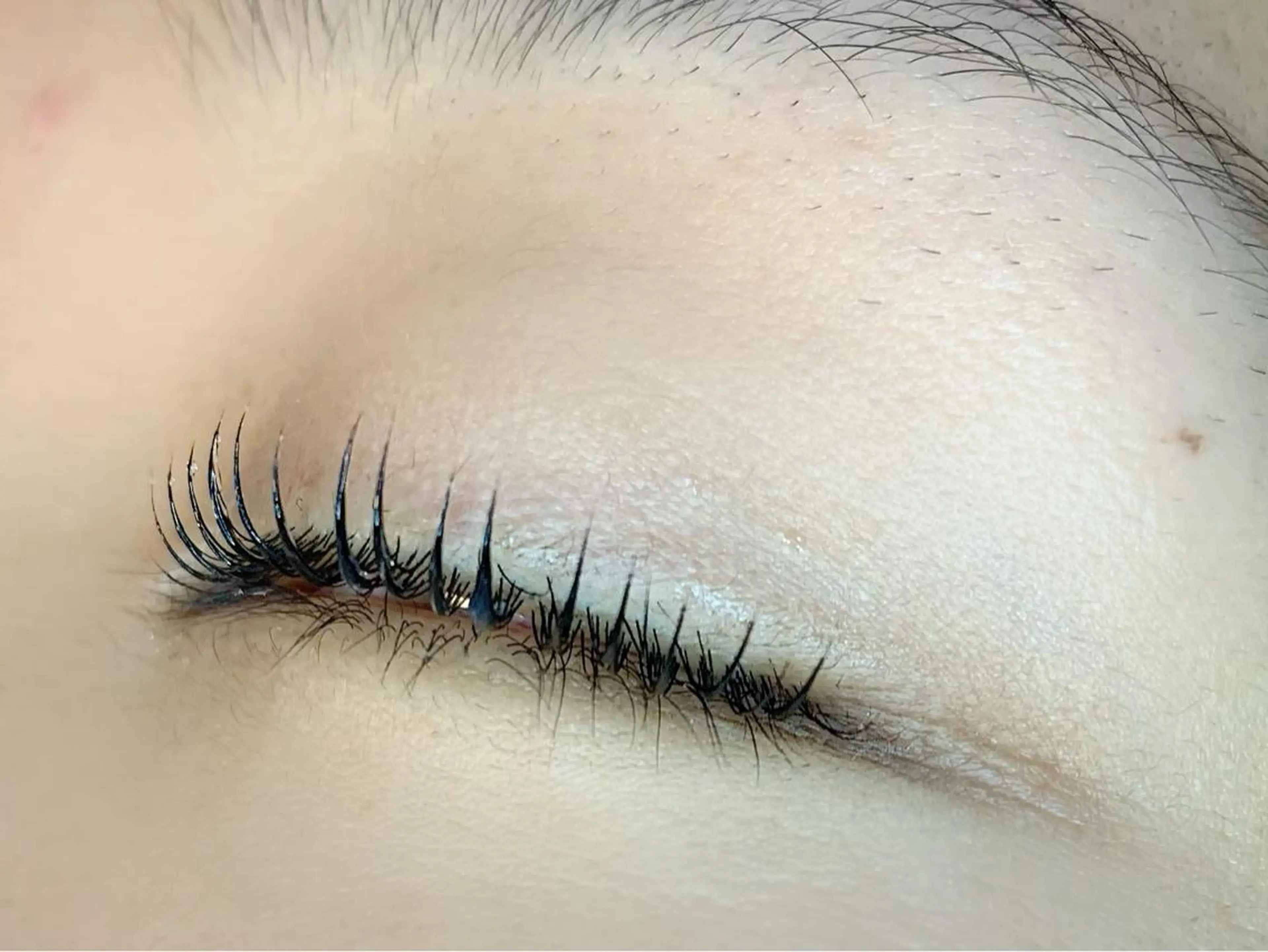 マツエク・マツパ マツパ teatree.. REINAのマツエク・マツパデザイン