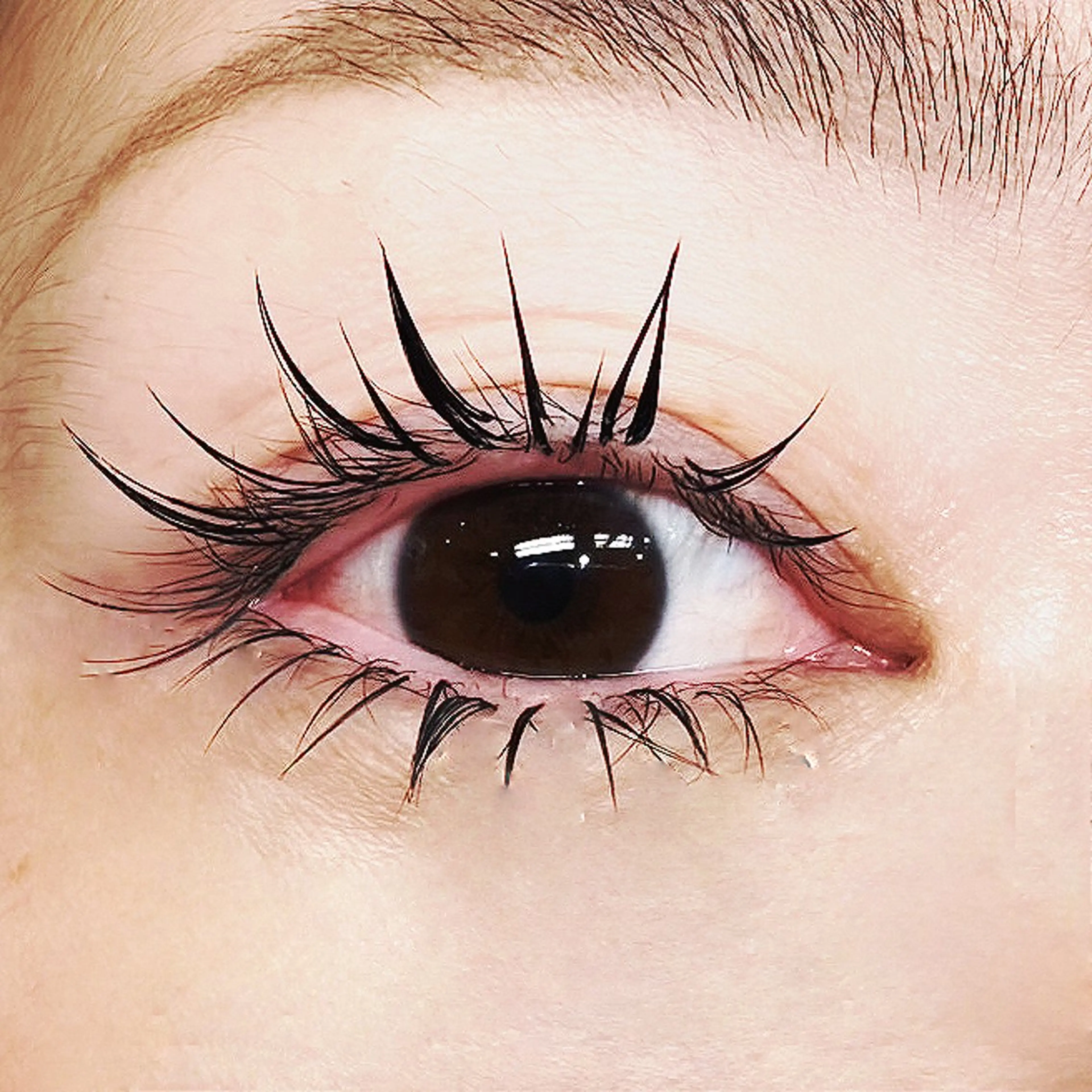 マツエク・マツパ Jカール 下まつげエクステ ワンホンマツエク ノーファンデの樹所属・宇治 名帆子のマツエク・マツパデザイン