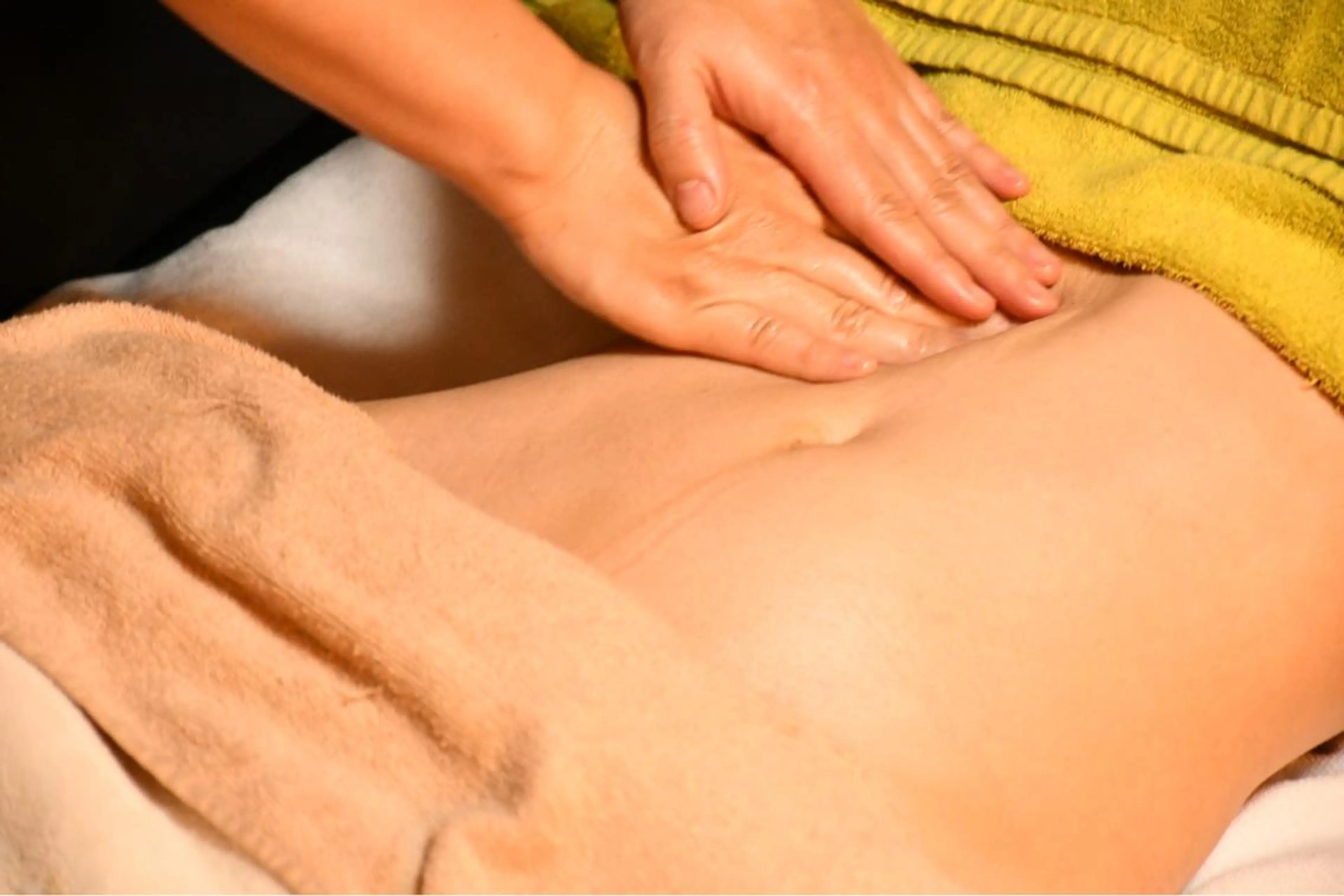 プチ体質改善コースの写真