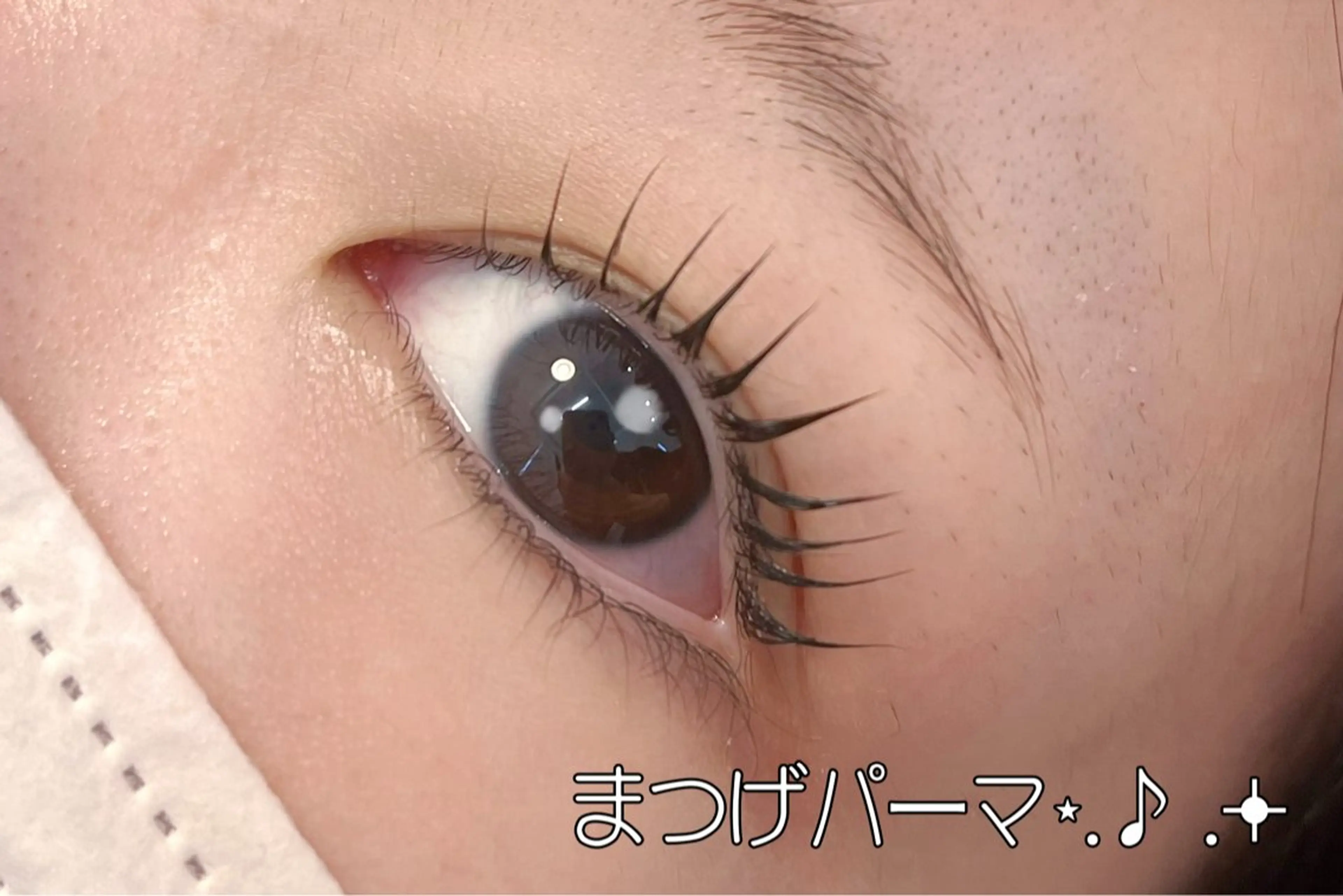 🩷全員🩷まつげパーマ+束感コーティング☆アイシャンプー付の写真