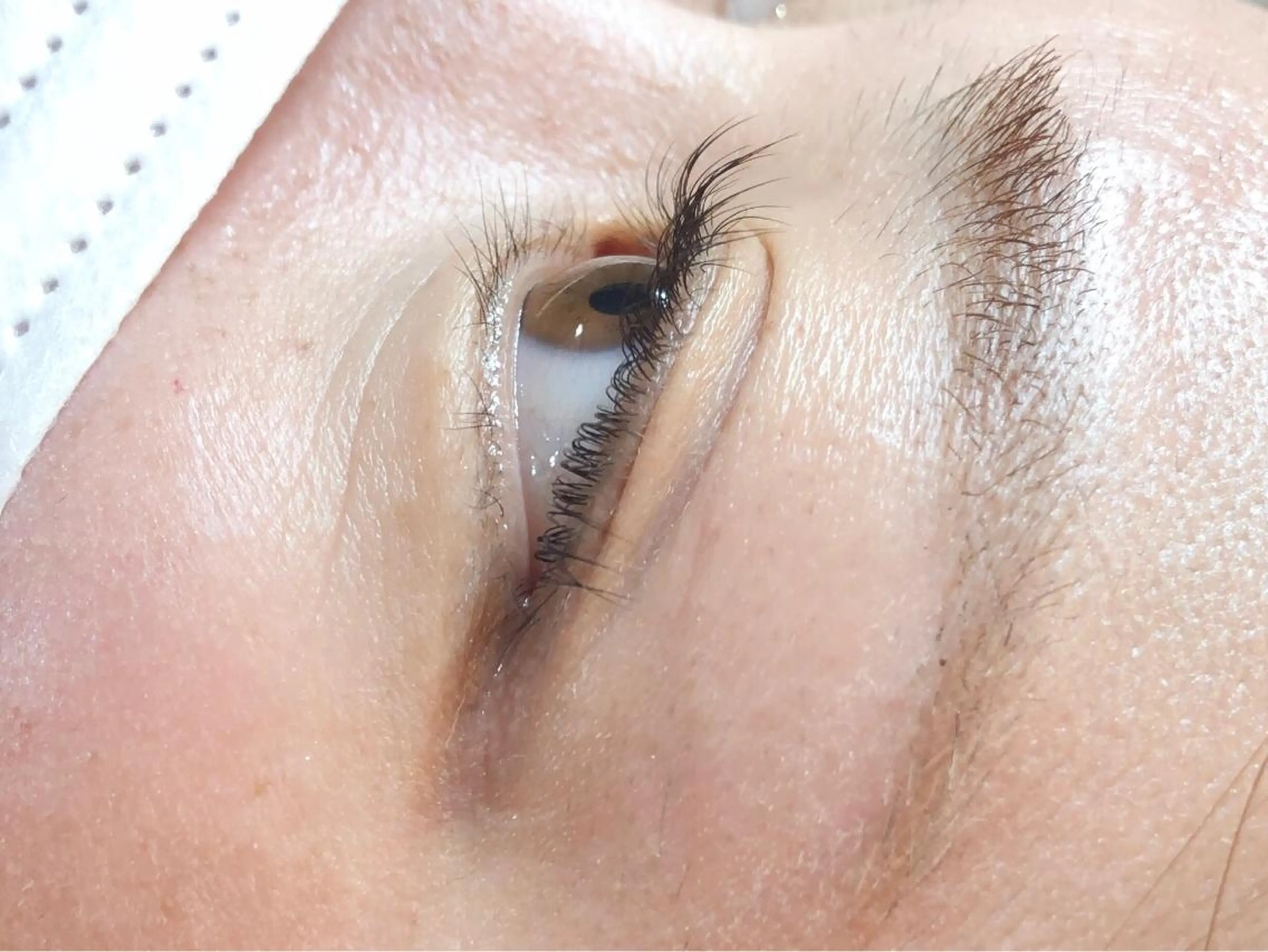 マツエク・マツパ 一重×まつ毛パーマ マツパ Ibuki 🎀仙台パルコ🎀のマツエク・マツパデザイン