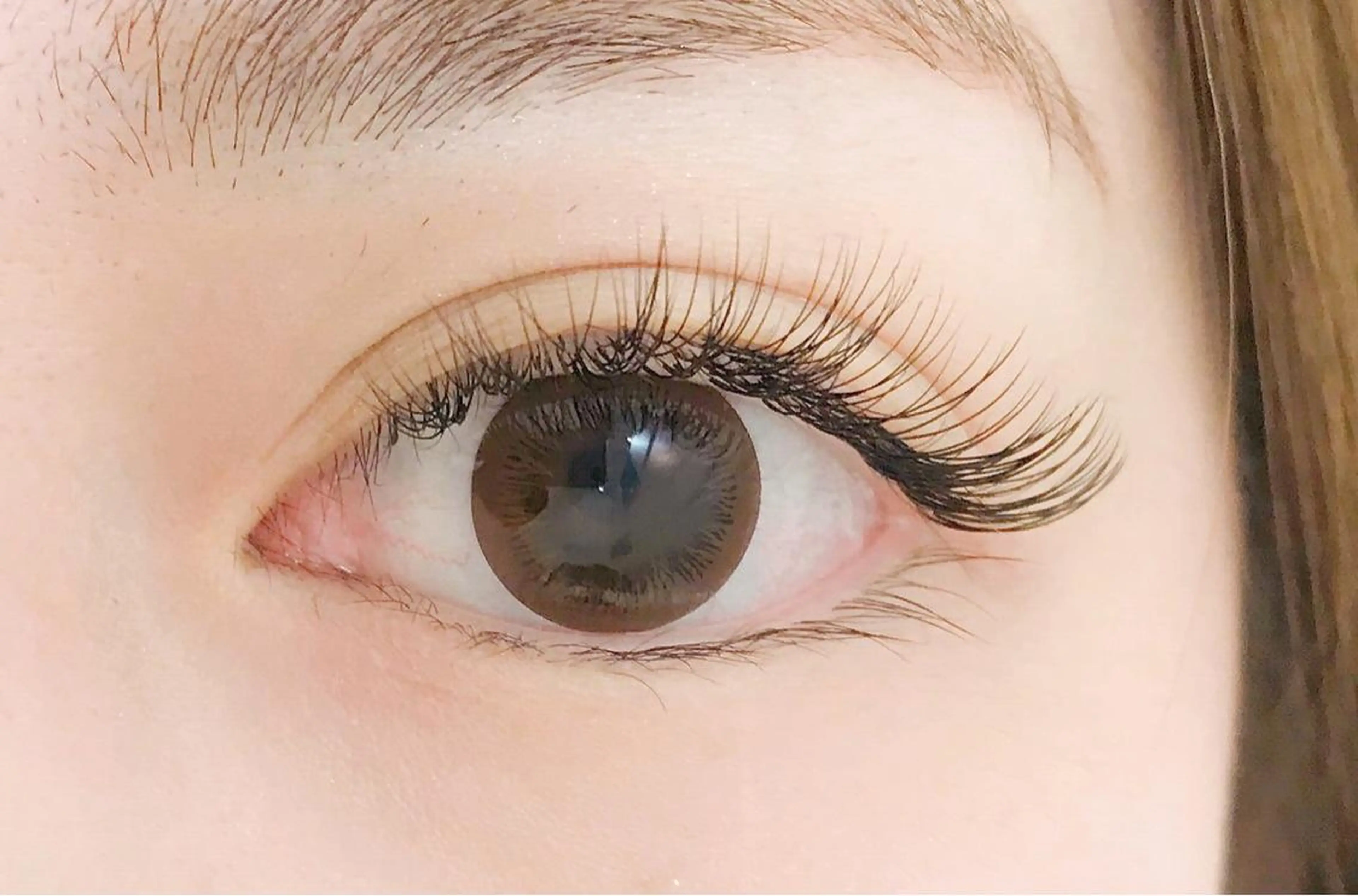 minimo価格‼️シングルラッシュ140本👀‪💞‬(自まつげに近い！高級セーブルエクステ)の写真