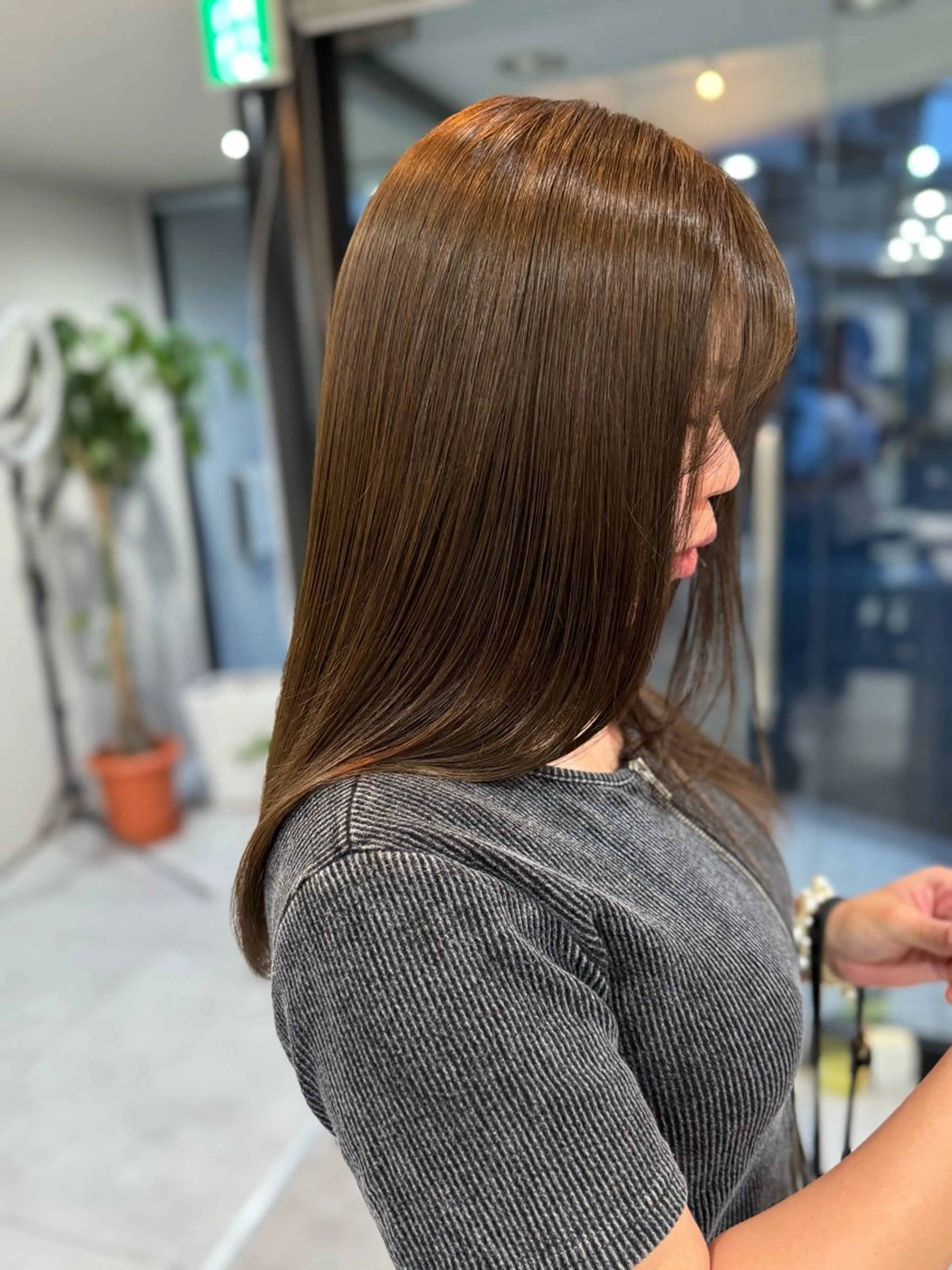 ワンカラーの写真