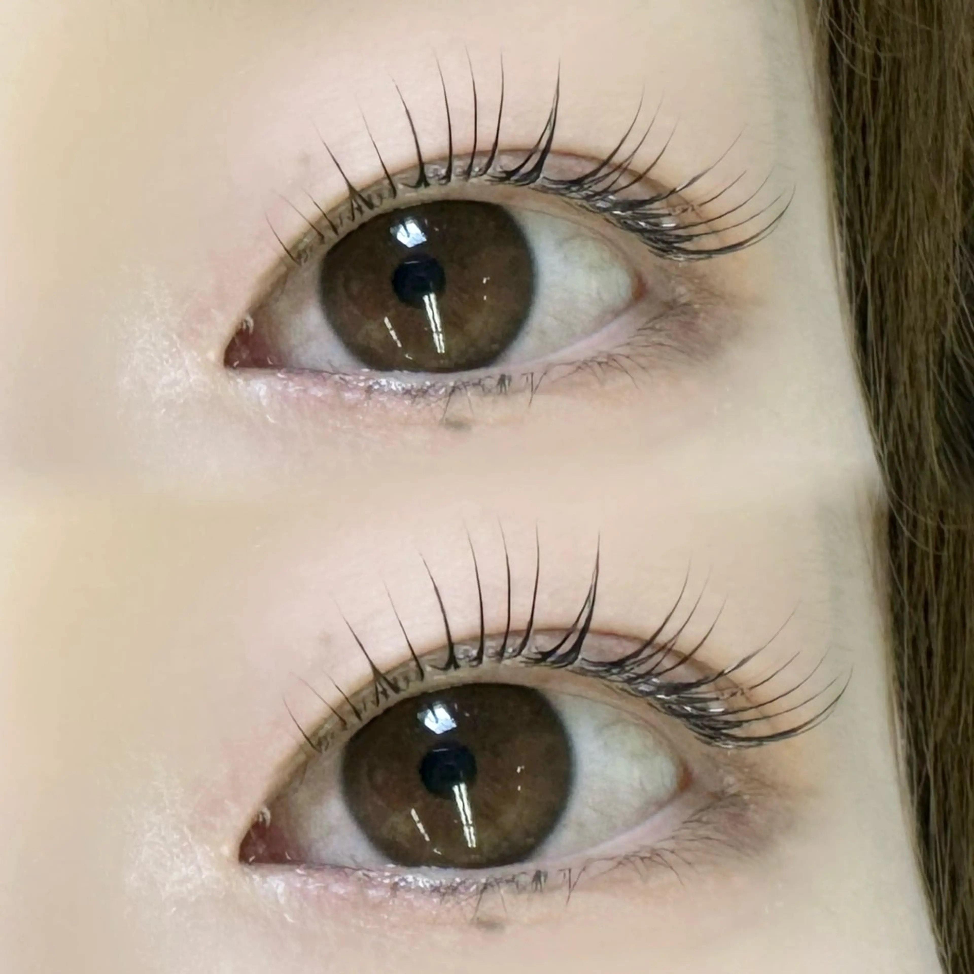 🍬メーテルロッド🍬の写真