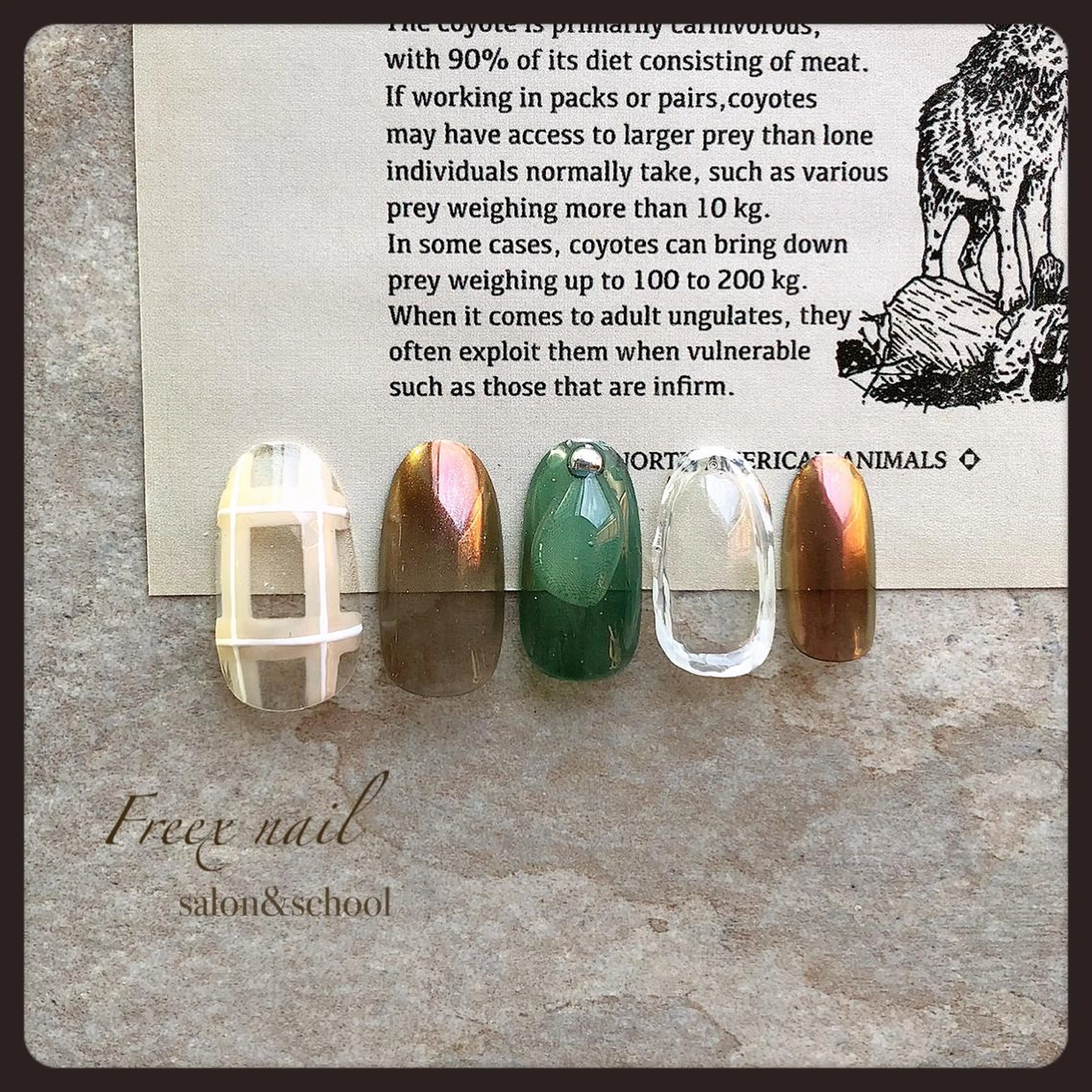 ネイル ハンドネイル ハンドケア Freex nail所属・freex nail /ニュアンス/個性派のネイルデザイン