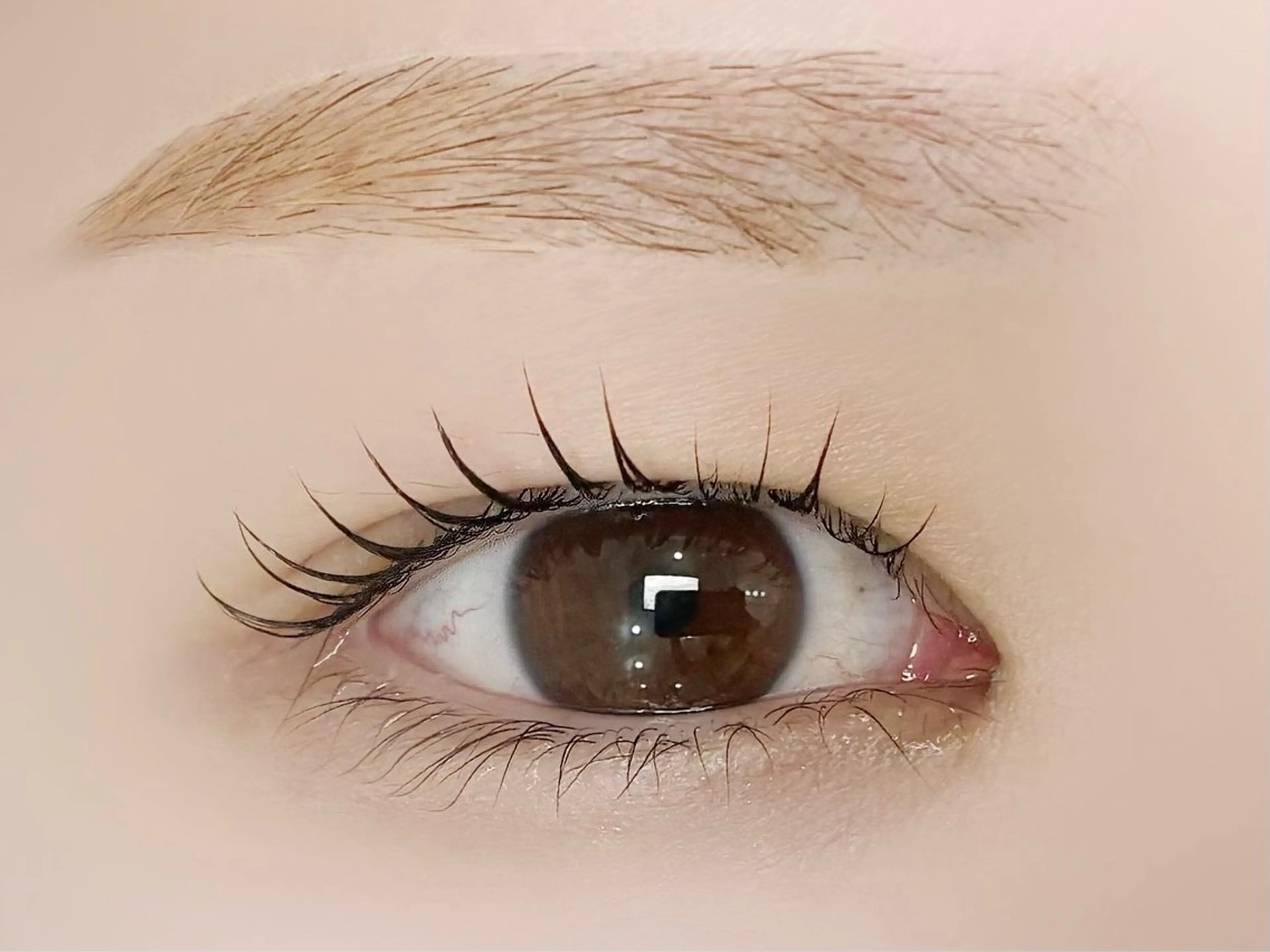 マツエク・マツパ 小杉 真子のマツエク・マツパデザイン